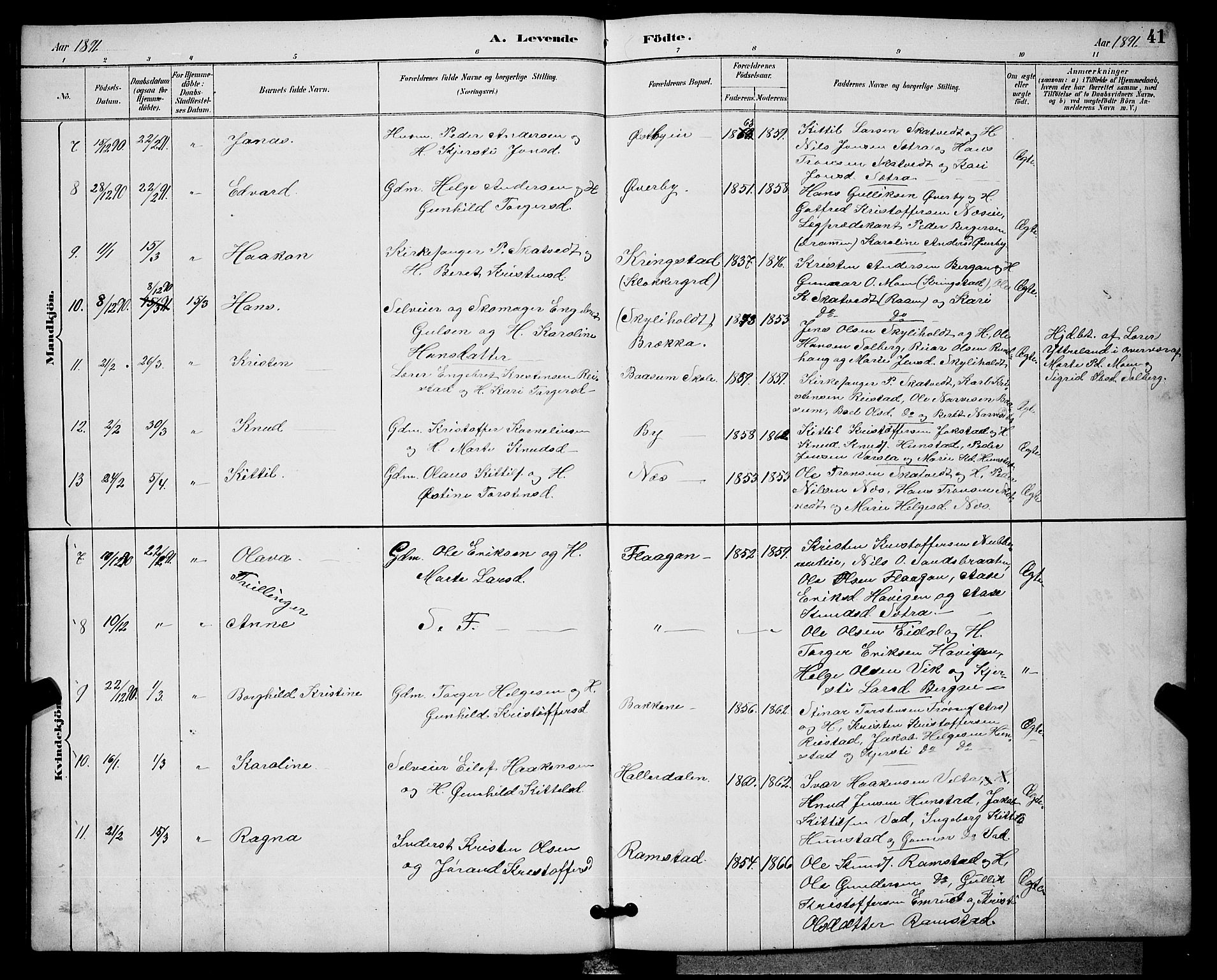 Sigdal kirkebøker, AV/SAKO-A-245/G/Ga/L0005: Parish register (copy) no. I 5, 1886-1900, p. 41