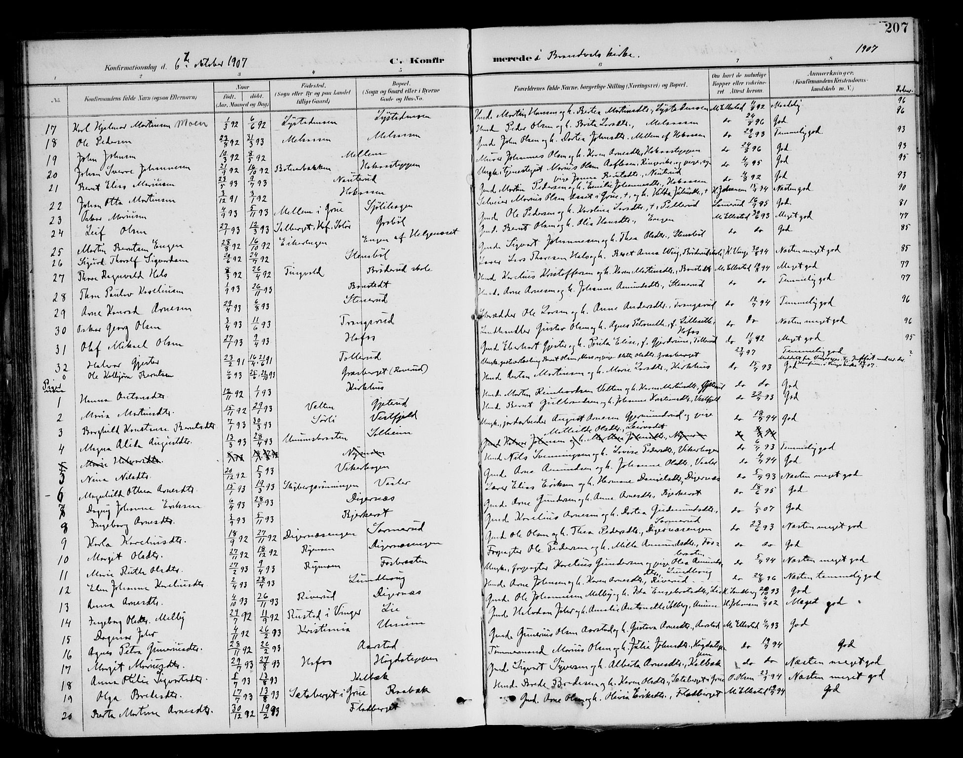 Brandval prestekontor, AV/SAH-PREST-034/H/Ha/Haa/L0003: Parish register (official) no. 3, 1894-1909, p. 207