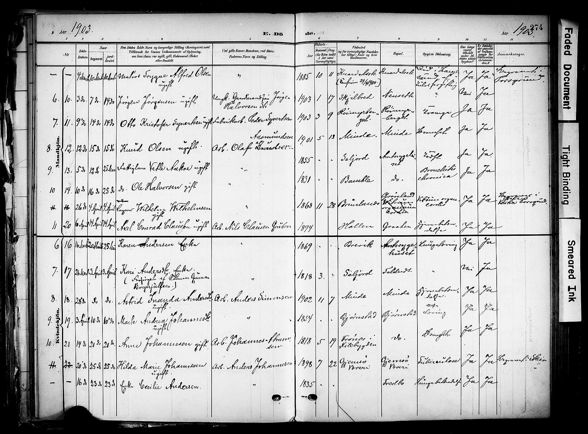 Solum kirkebøker, SAKO/A-306/F/Fa/L0011: Parish register (official) no. I 11, 1898-1909, p. 274