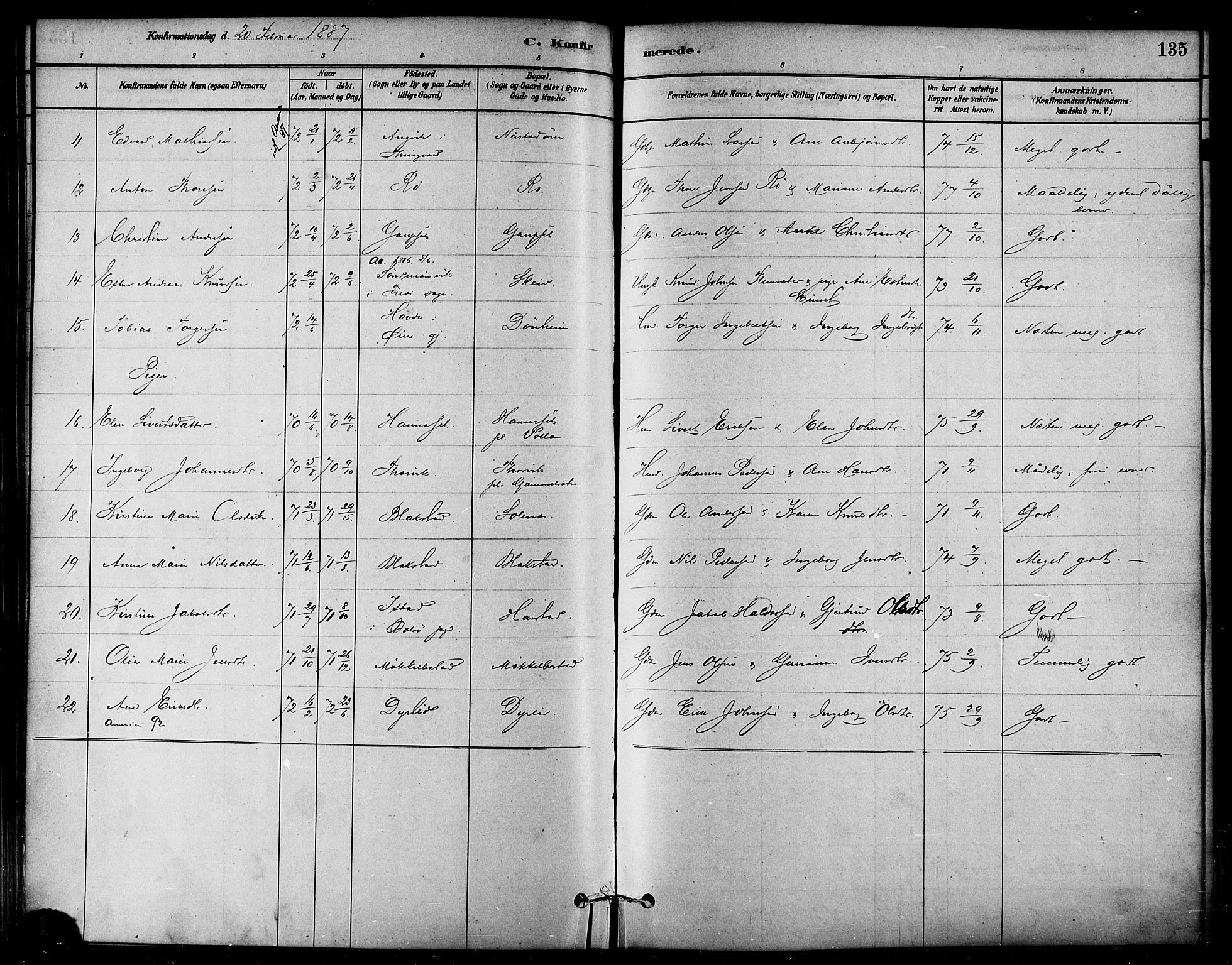 Ministerialprotokoller, klokkerbøker og fødselsregistre - Møre og Romsdal, AV/SAT-A-1454/584/L0967: Parish register (official) no. 584A07, 1879-1894, p. 135