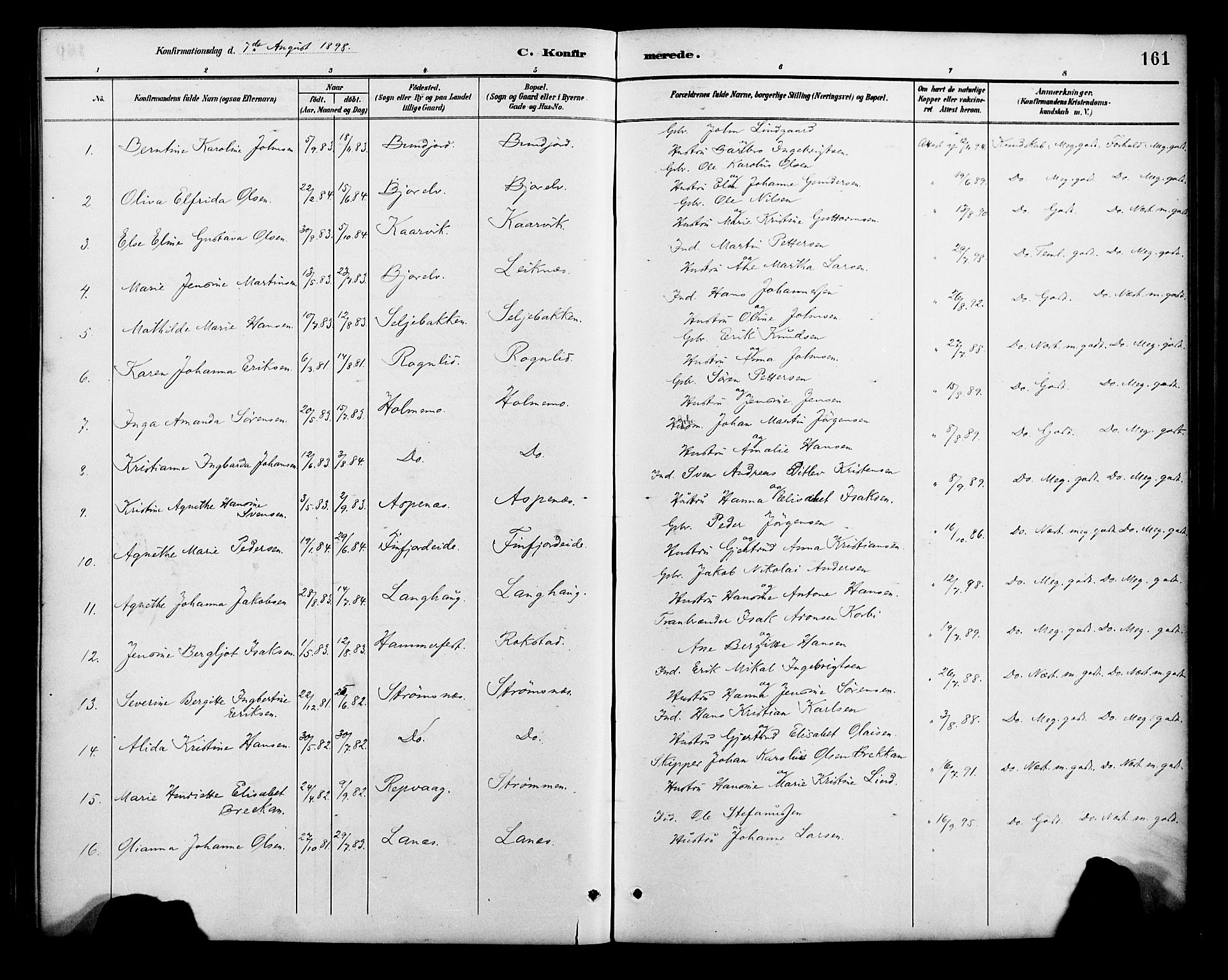 Lenvik sokneprestembete, AV/SATØ-S-1310/H/Ha/Haa/L0013kirke: Parish register (official) no. 13, 1890-1898, p. 161