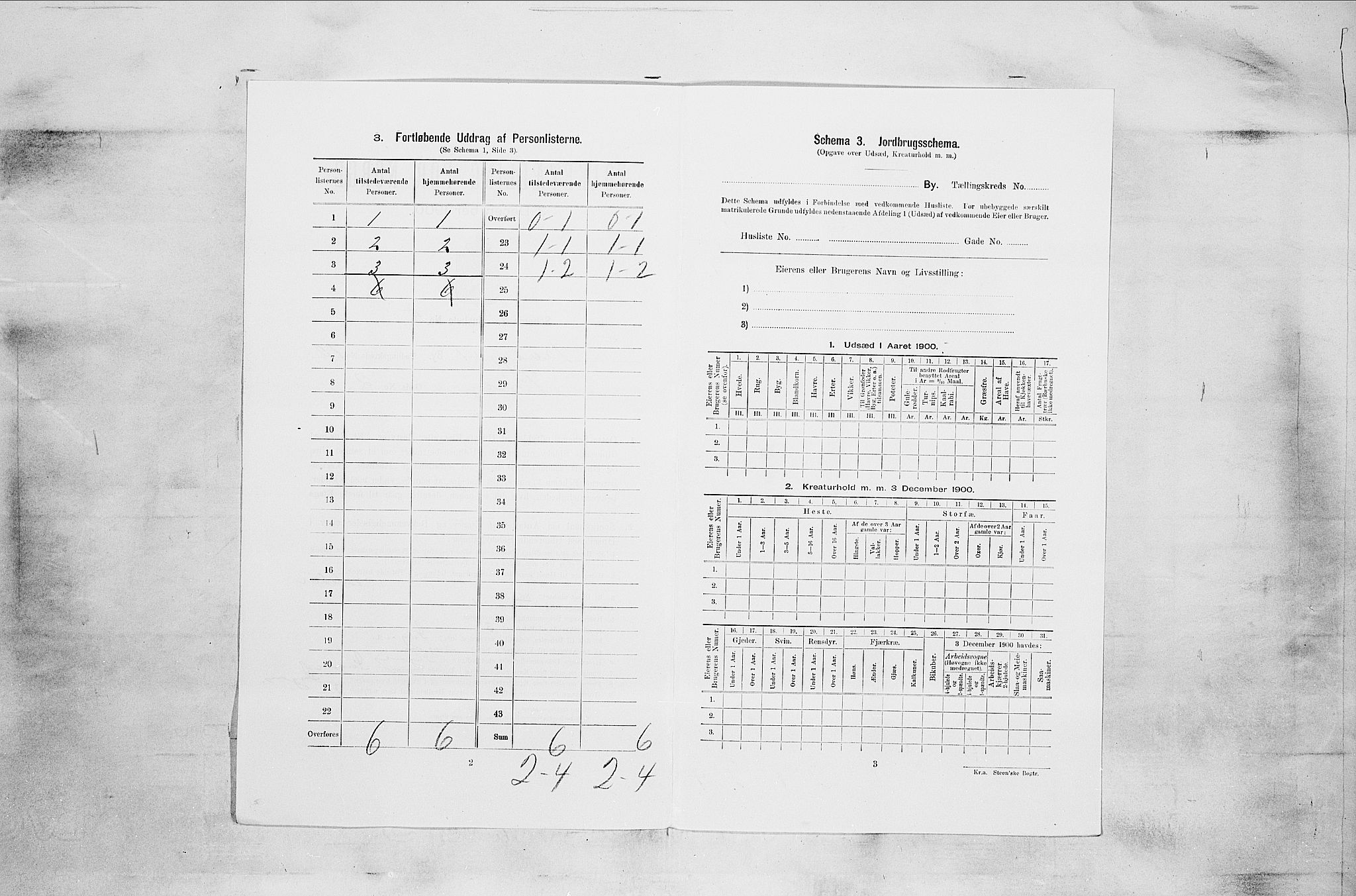 RA, 1900 census for Sandefjord, 1900, p. 2428