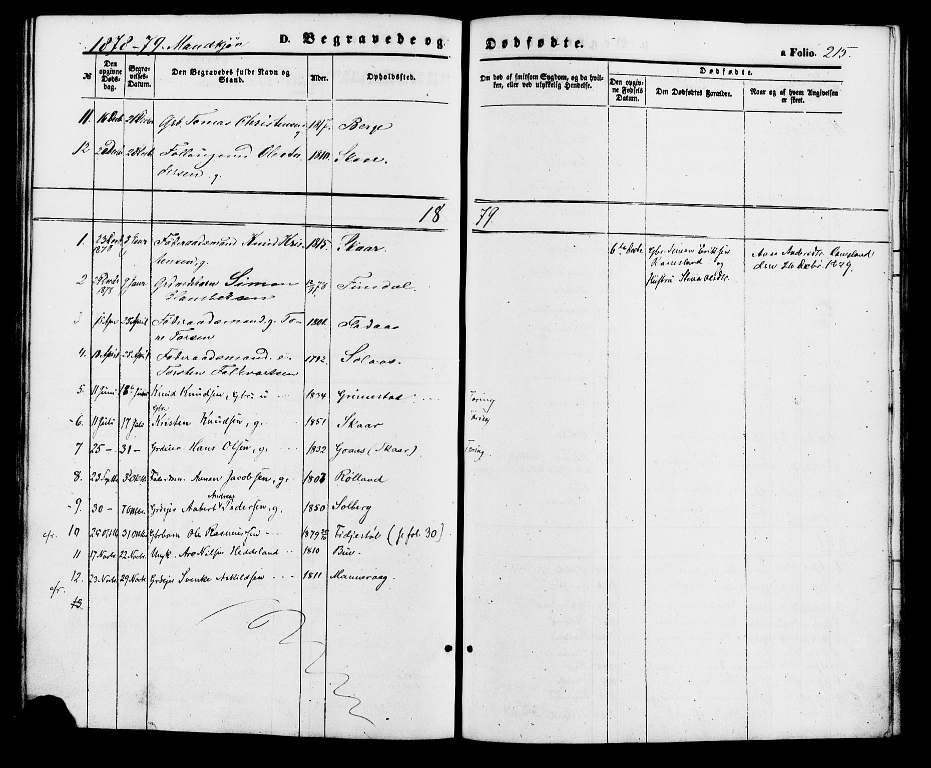 Holum sokneprestkontor, AV/SAK-1111-0022/F/Fa/Fac/L0003: Parish register (official) no. A 3, 1860-1883, p. 215