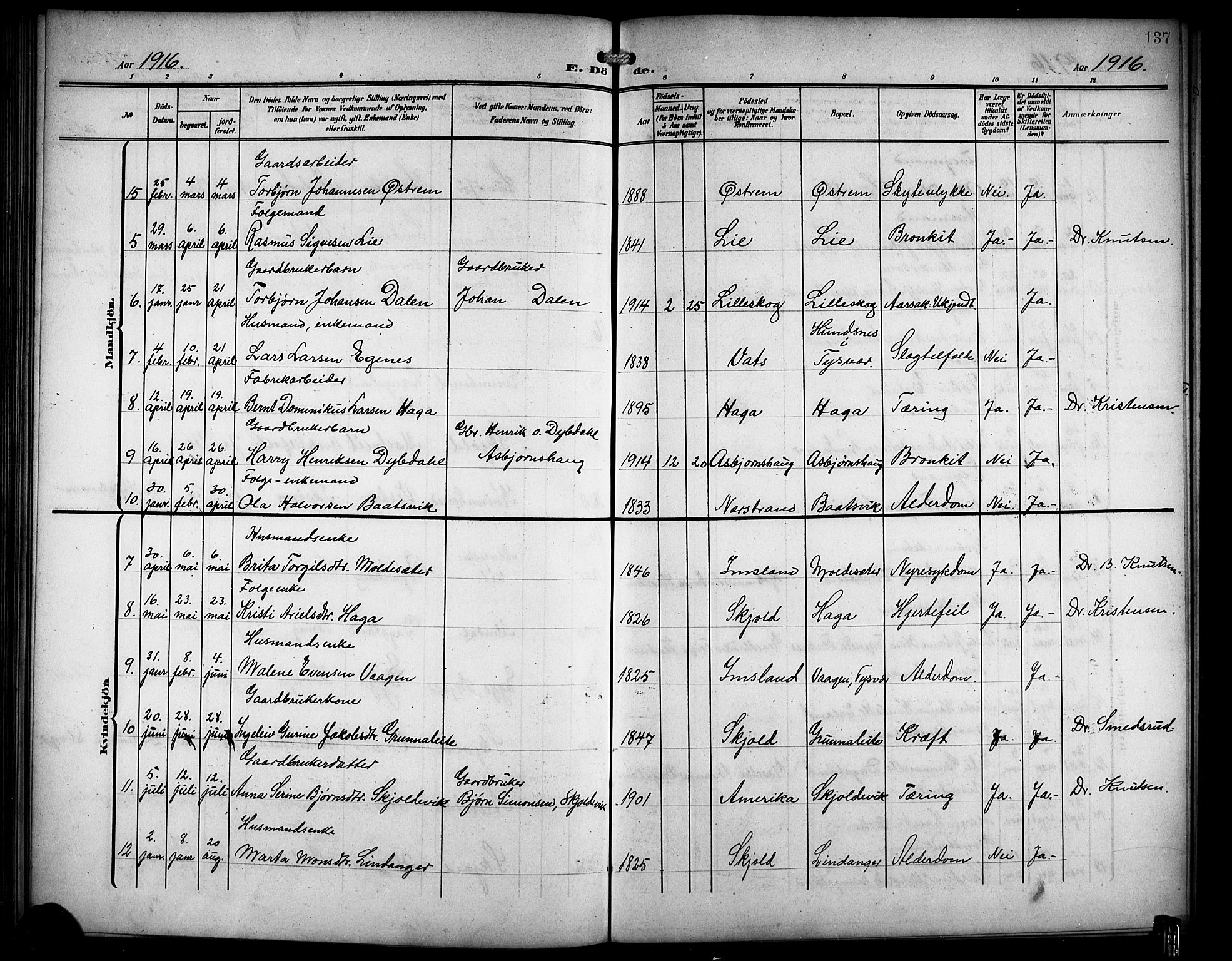 Skjold sokneprestkontor, AV/SAST-A-101847/H/Ha/Hab/L0008: Parish register (copy) no. B 8, 1906-1920, p. 137