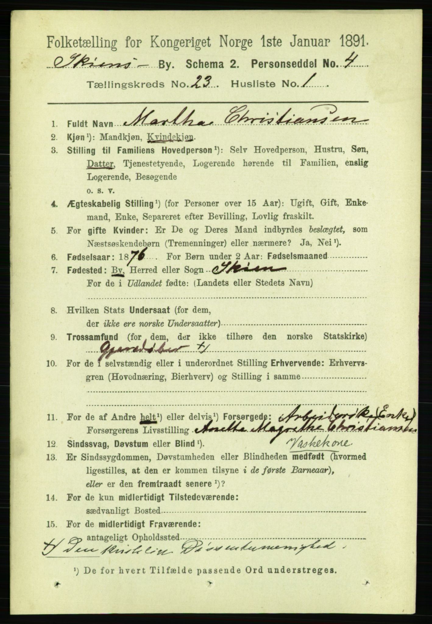 RA, 1891 census for 0806 Skien, 1891, p. 5818