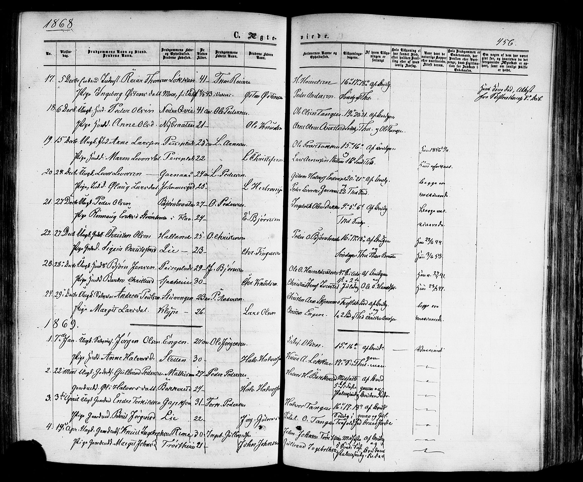 Nes kirkebøker, SAKO/A-236/F/Fa/L0010: Parish register (official) no. 10, 1864-1880, p. 456