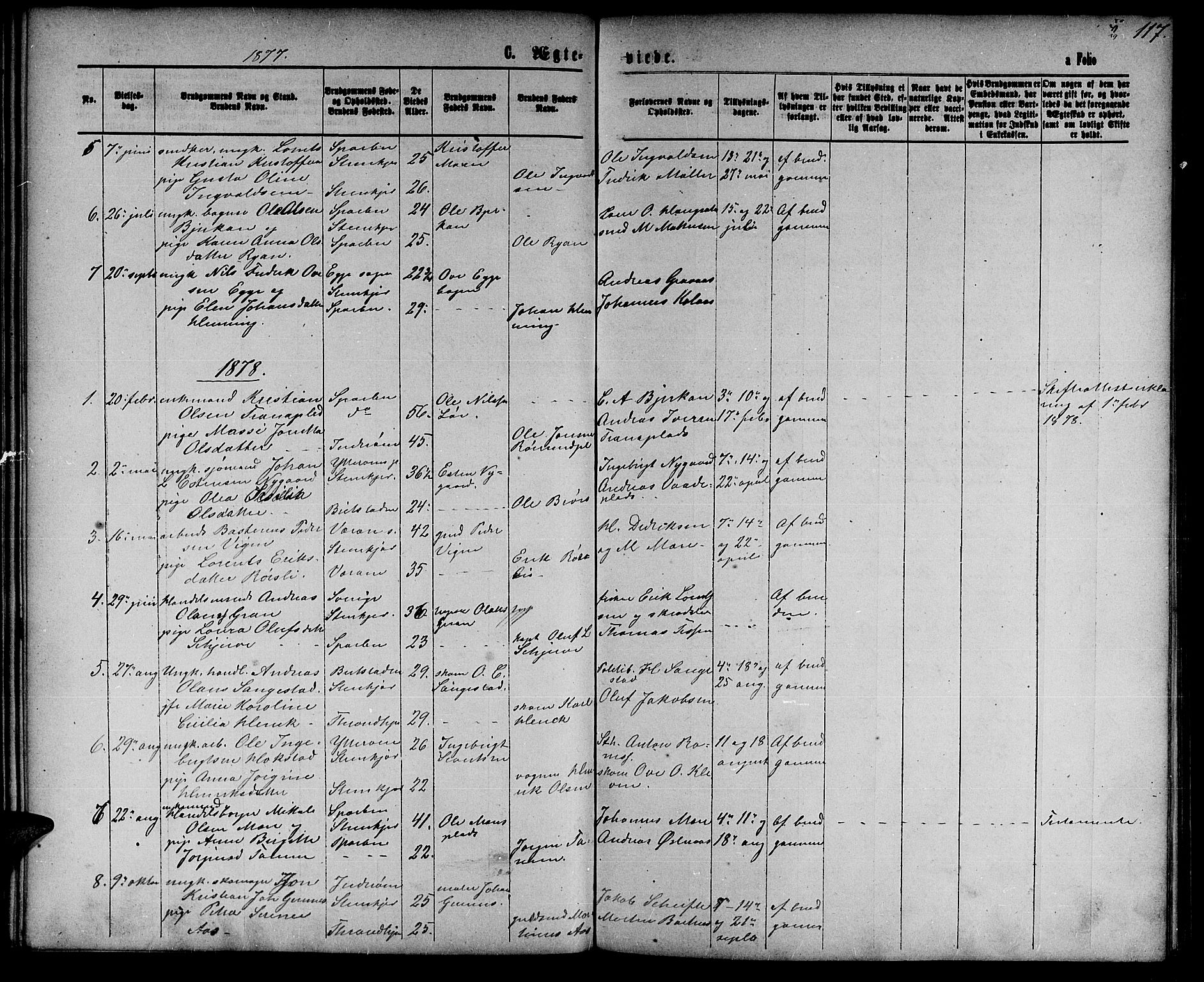 Ministerialprotokoller, klokkerbøker og fødselsregistre - Nord-Trøndelag, SAT/A-1458/739/L0373: Parish register (copy) no. 739C01, 1865-1882, p. 117