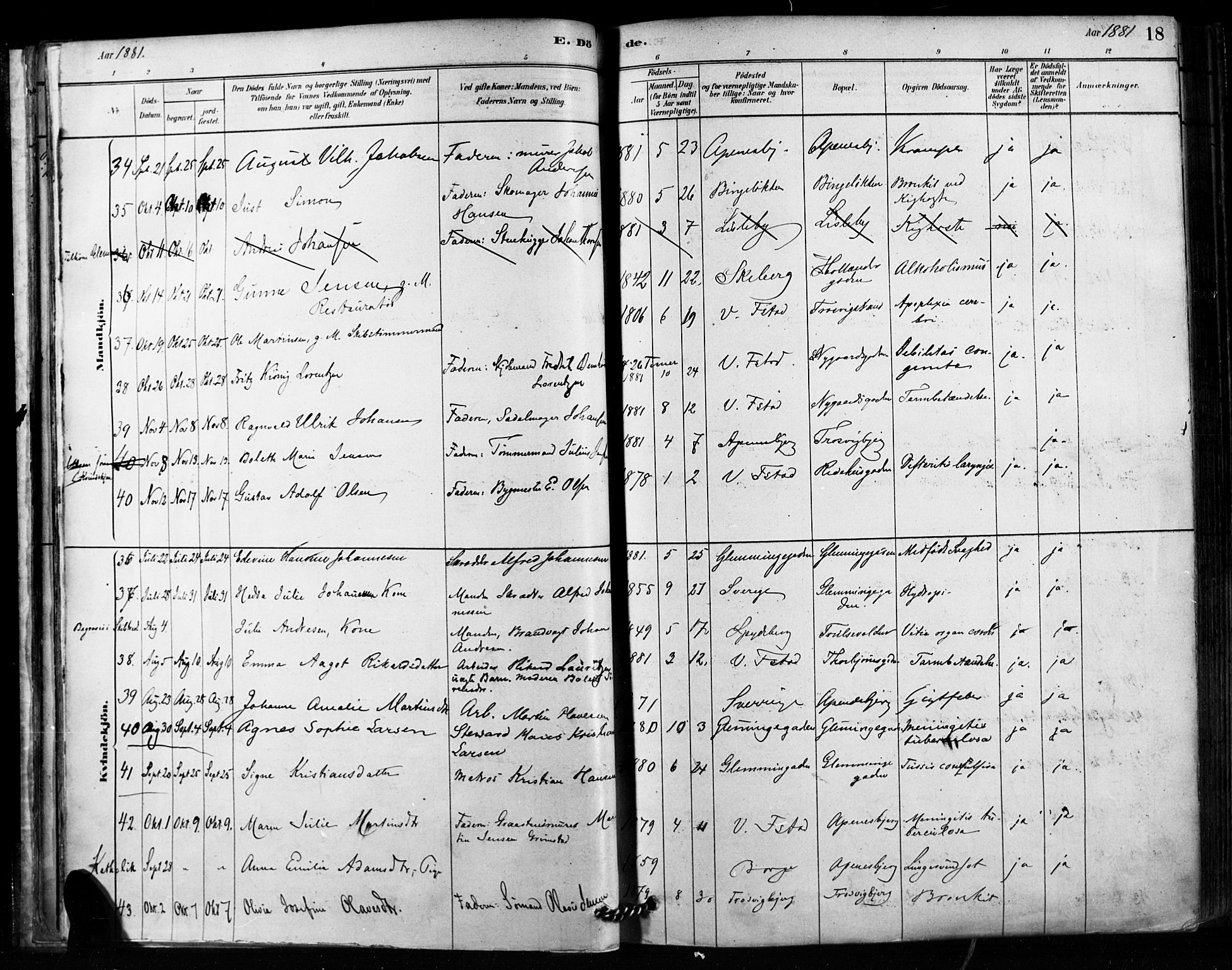 Fredrikstad domkirkes prestekontor Kirkebøker, SAO/A-10906/F/Fa/L0003: Parish register (official) no. 3, 1878-1904, p. 18