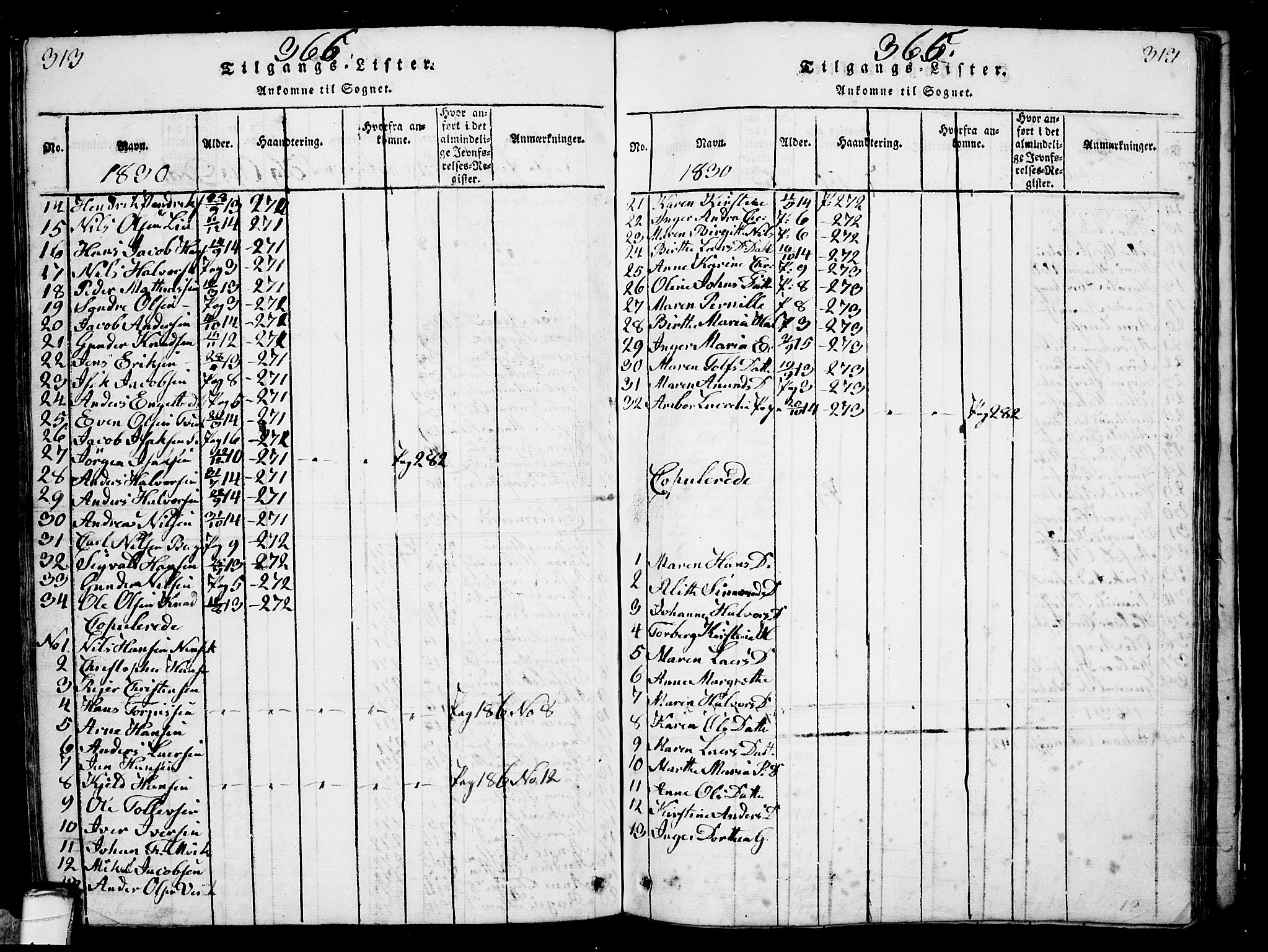 Solum kirkebøker, SAKO/A-306/G/Ga/L0001: Parish register (copy) no. I 1, 1814-1833, p. 313