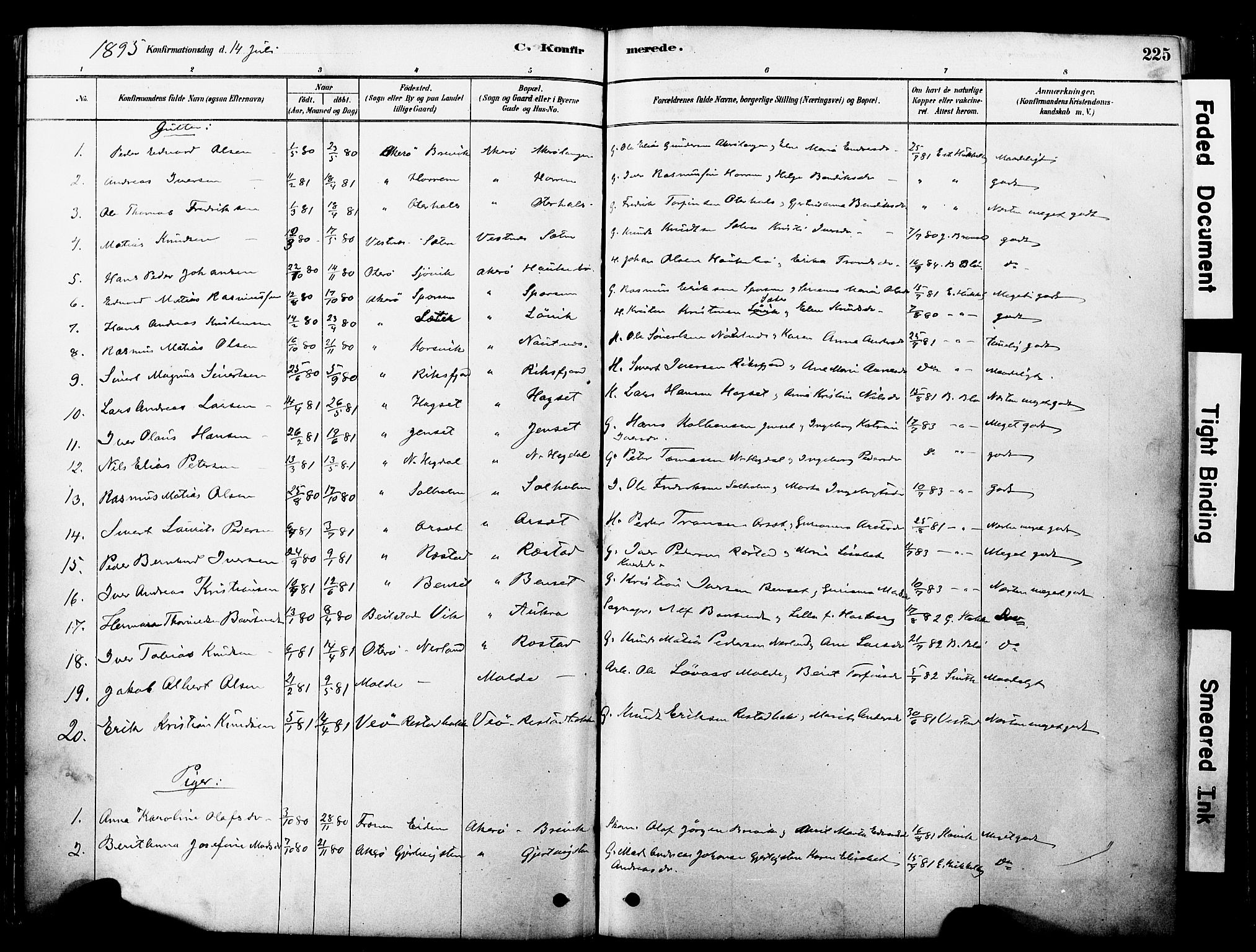 Ministerialprotokoller, klokkerbøker og fødselsregistre - Møre og Romsdal, SAT/A-1454/560/L0721: Parish register (official) no. 560A05, 1878-1917, p. 225