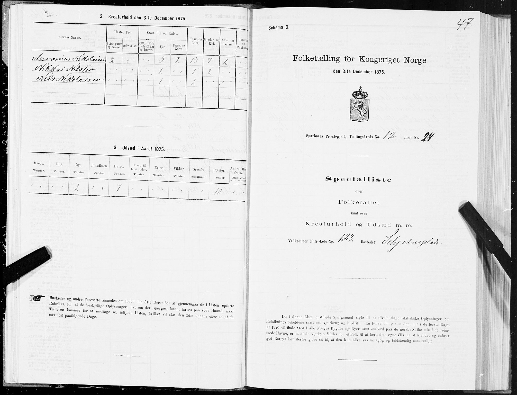 SAT, 1875 census for 1731P Sparbu, 1875, p. 5047