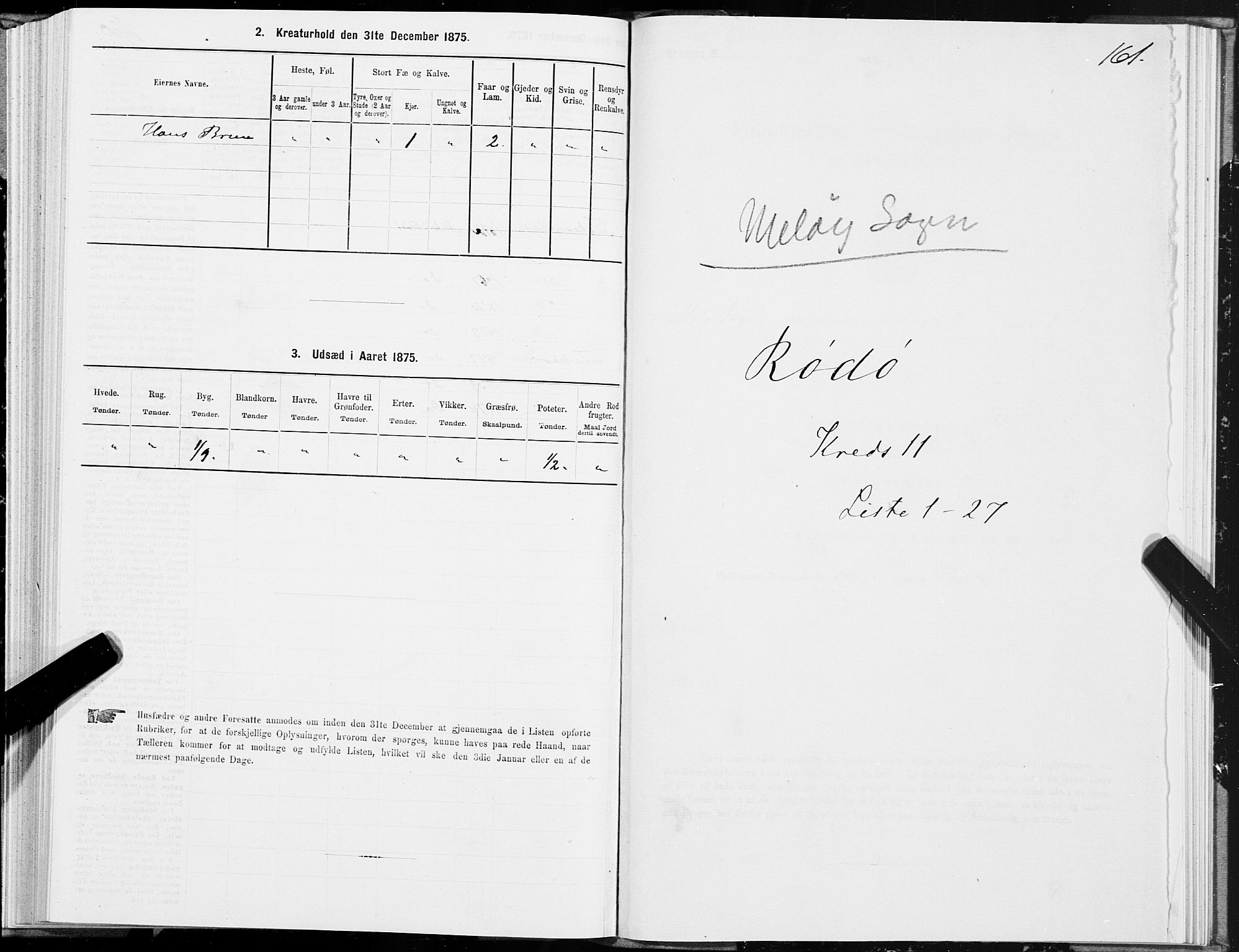 SAT, 1875 census for 1836P Rødøy, 1875, p. 5161