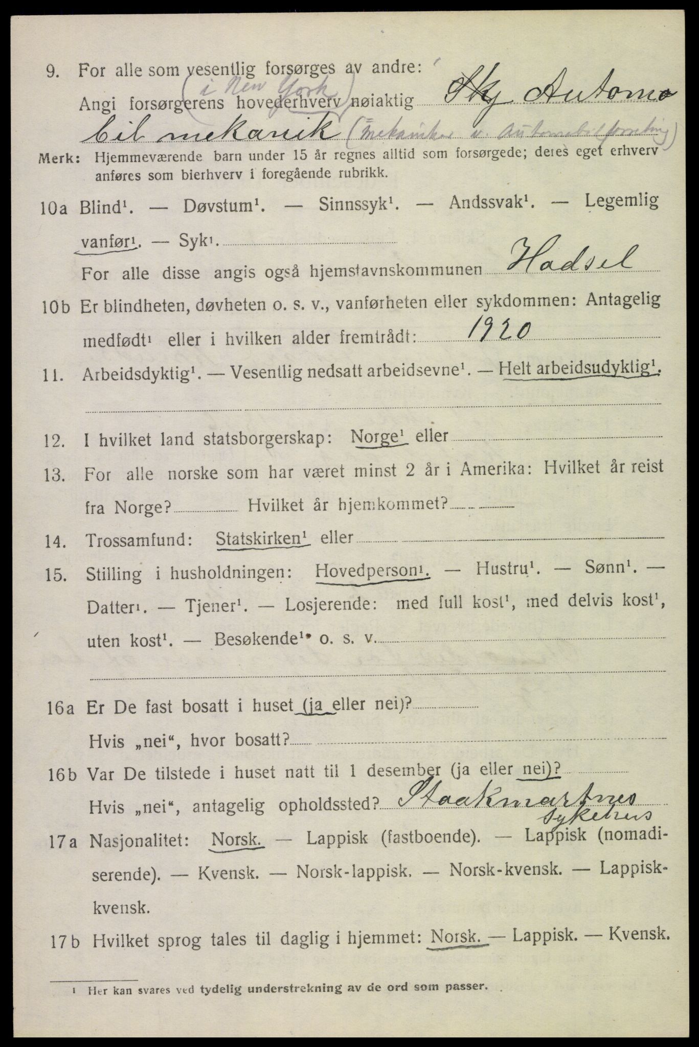 SAT, 1920 census for Hadsel, 1920, p. 6893