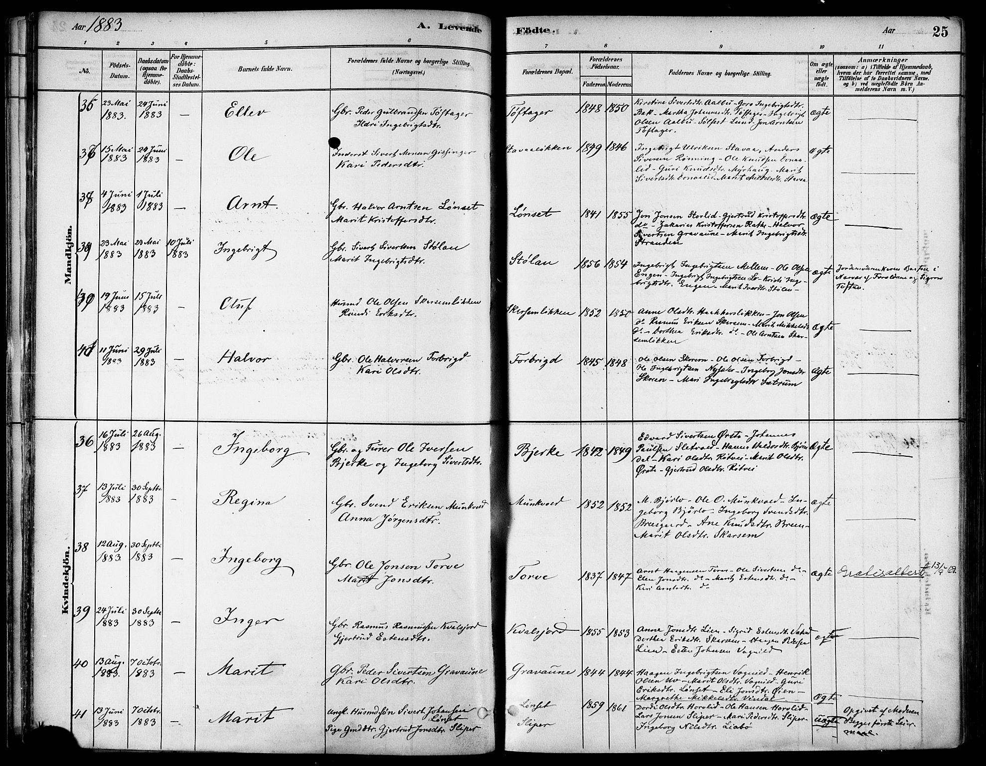 Ministerialprotokoller, klokkerbøker og fødselsregistre - Sør-Trøndelag, AV/SAT-A-1456/678/L0901: Parish register (official) no. 678A10, 1881-1894, p. 25