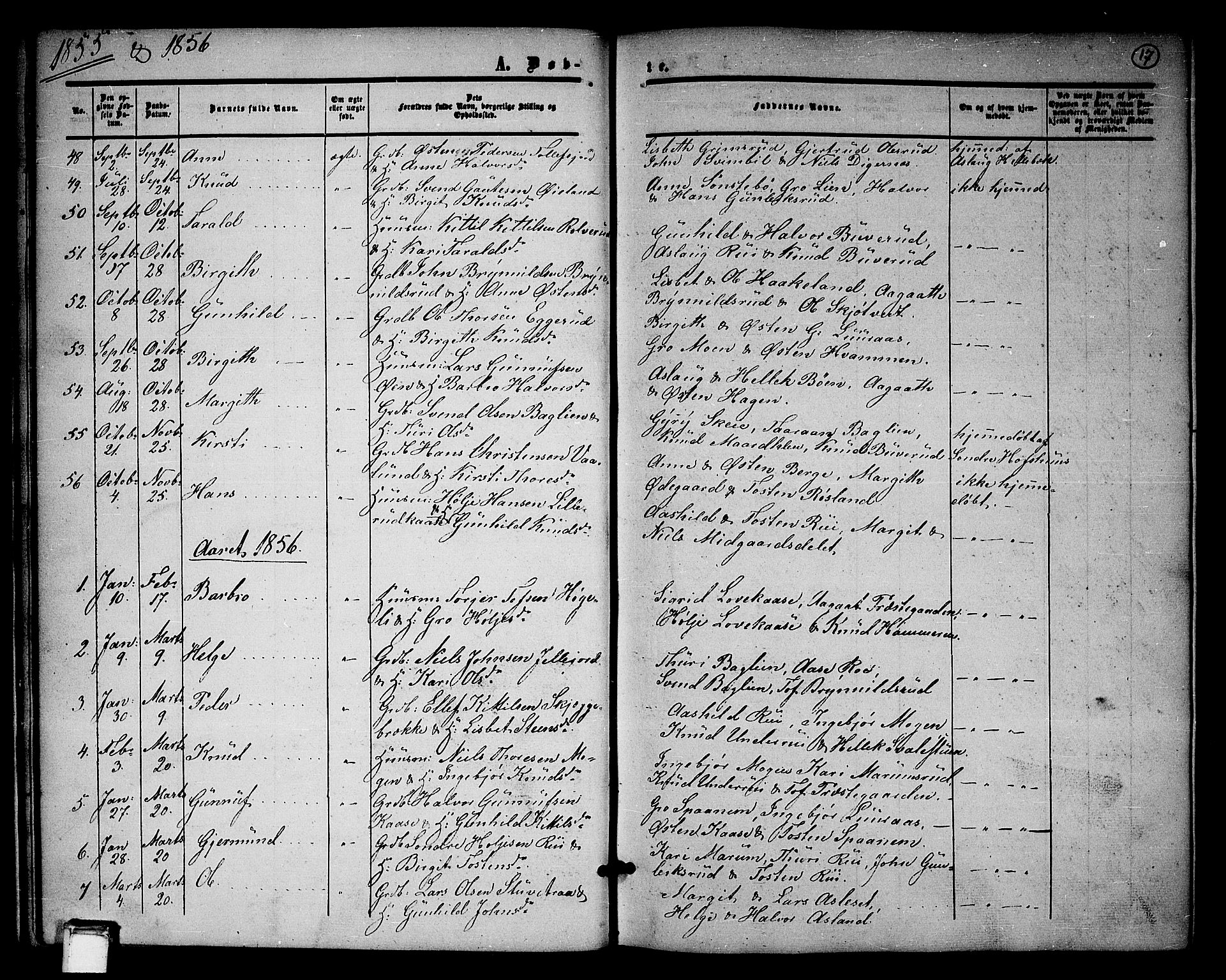 Tinn kirkebøker, SAKO/A-308/G/Ga/L0002: Parish register (copy) no. I 2, 1851-1883, p. 17