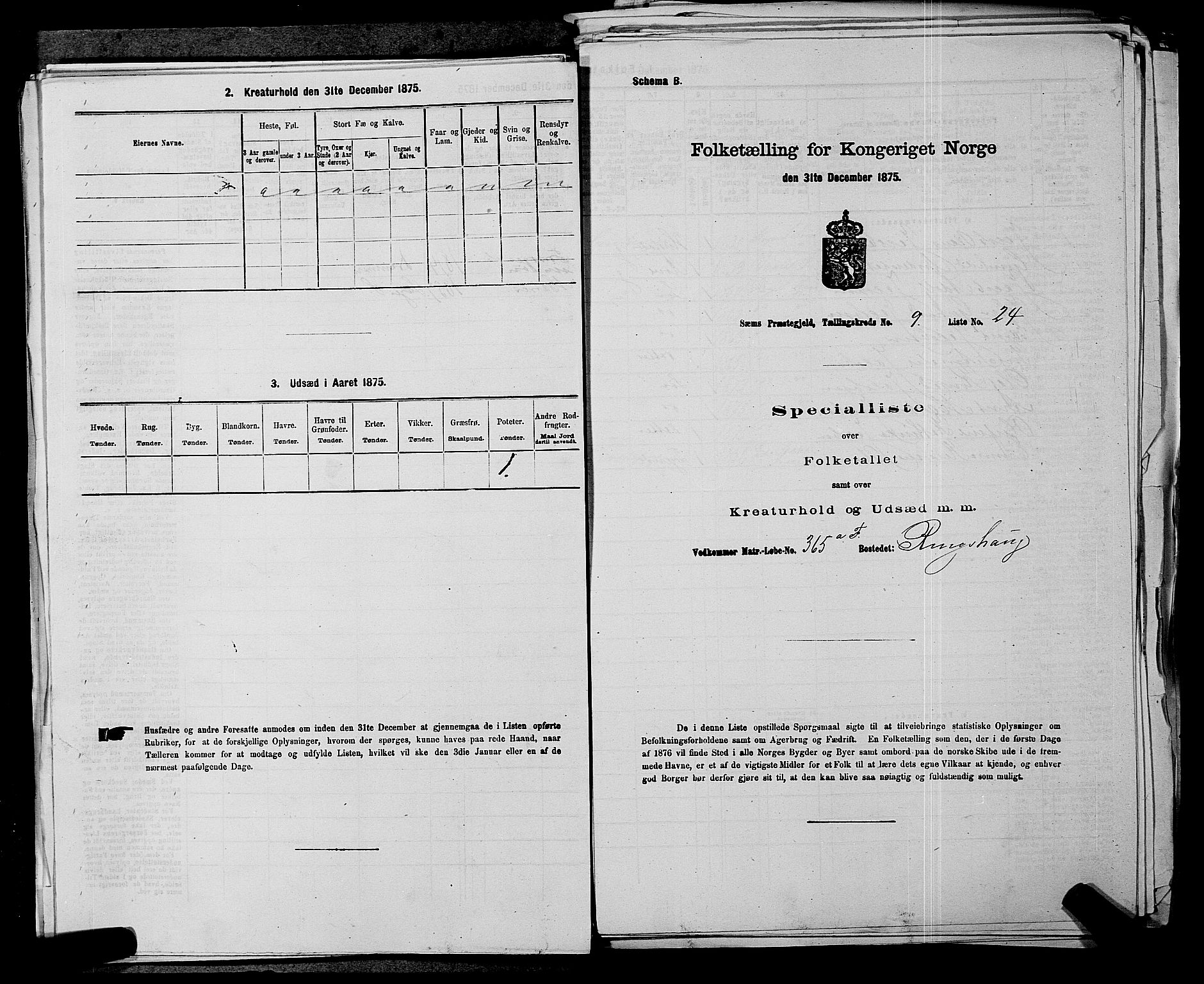 SAKO, 1875 census for 0721P Sem, 1875, p. 1538