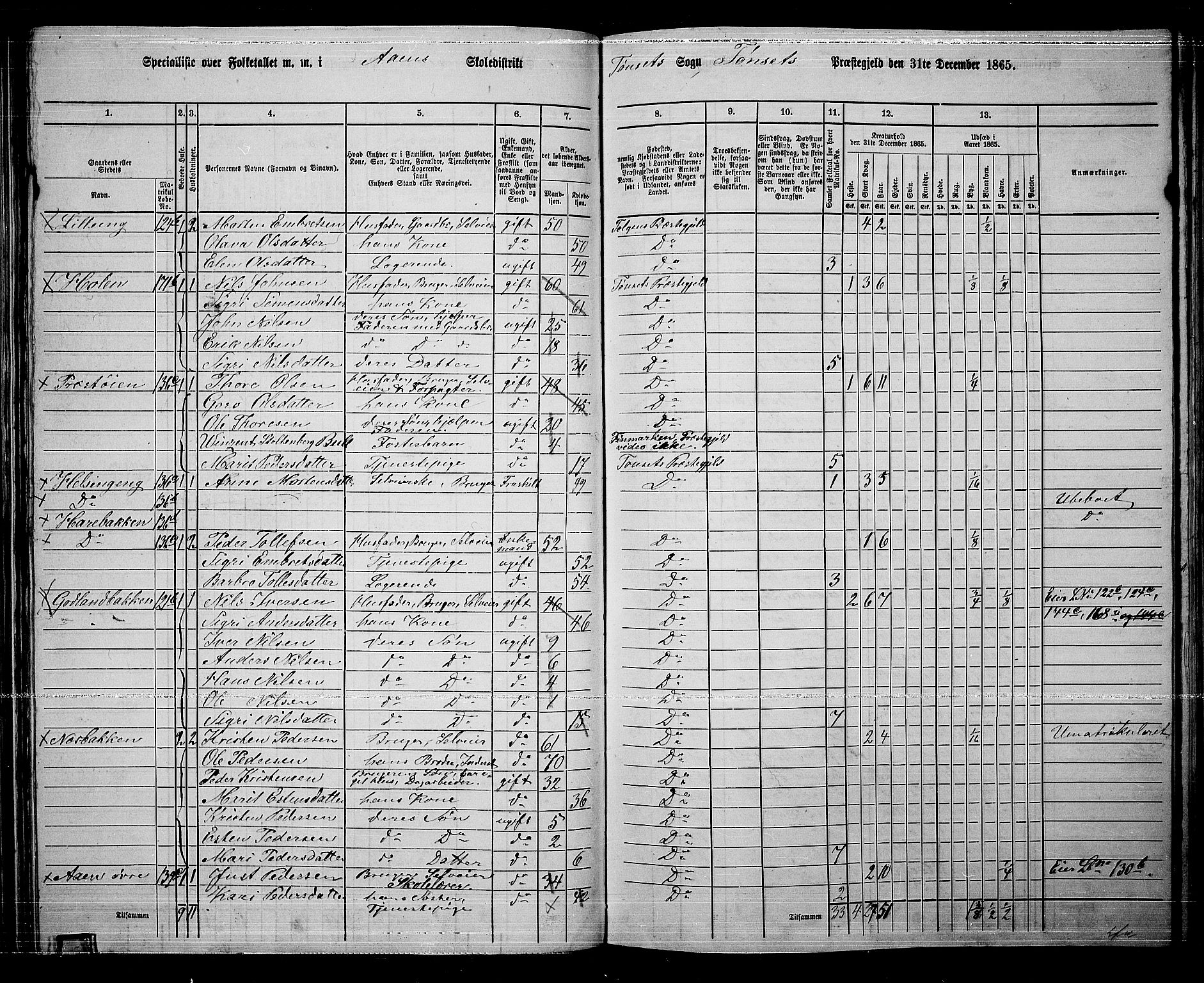 RA, 1865 census for Tynset, 1865, p. 63