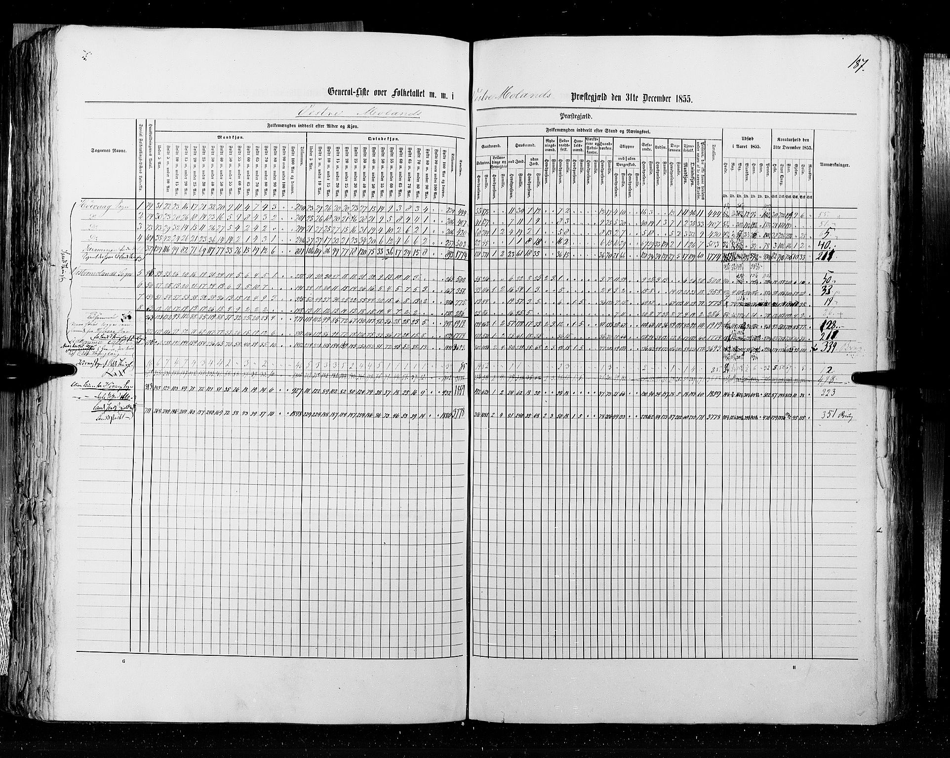 RA, Census 1855, vol. 3: Bratsberg amt, Nedenes amt og Lister og Mandal amt, 1855, p. 187