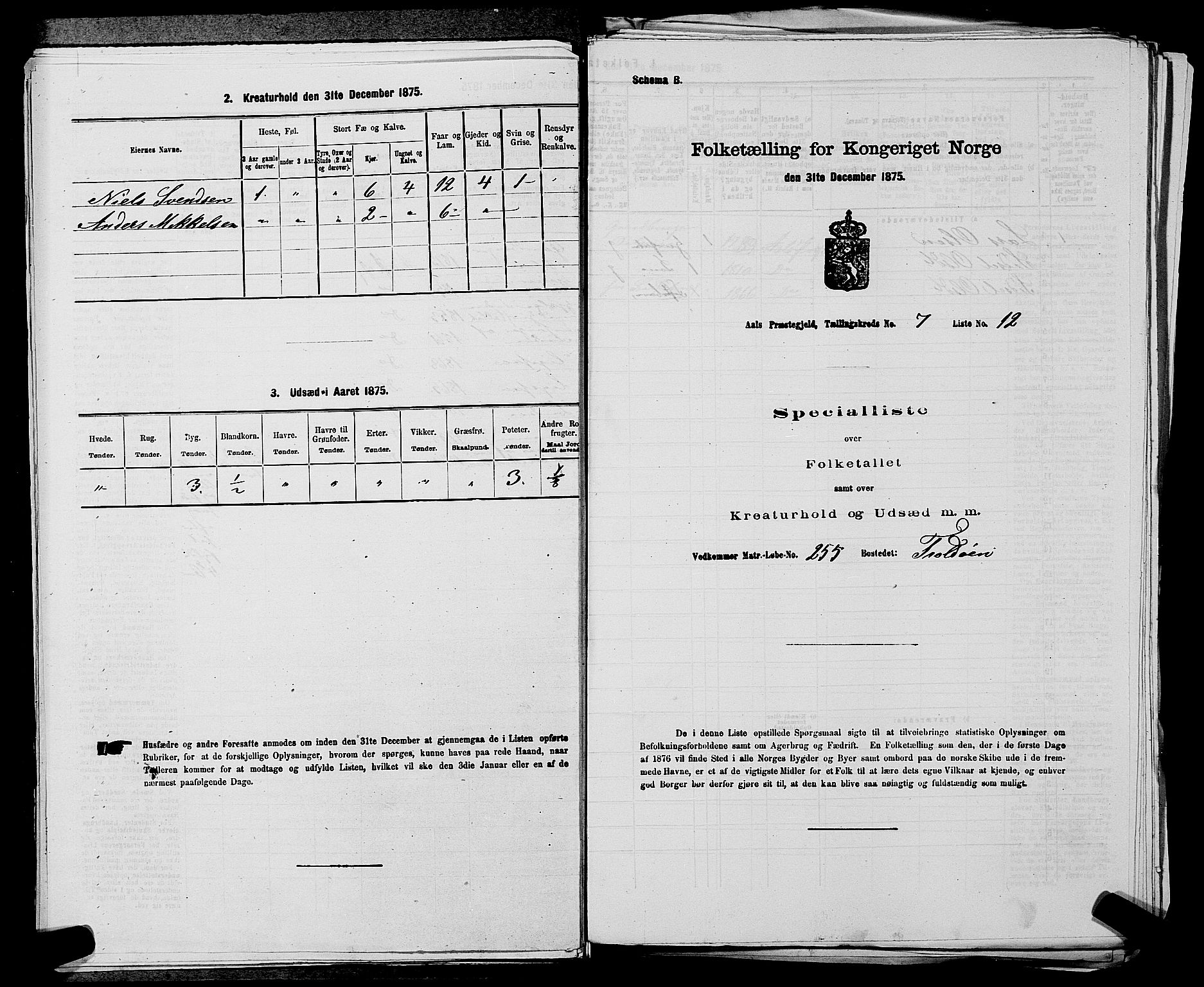 SAKO, 1875 census for 0619P Ål, 1875, p. 858