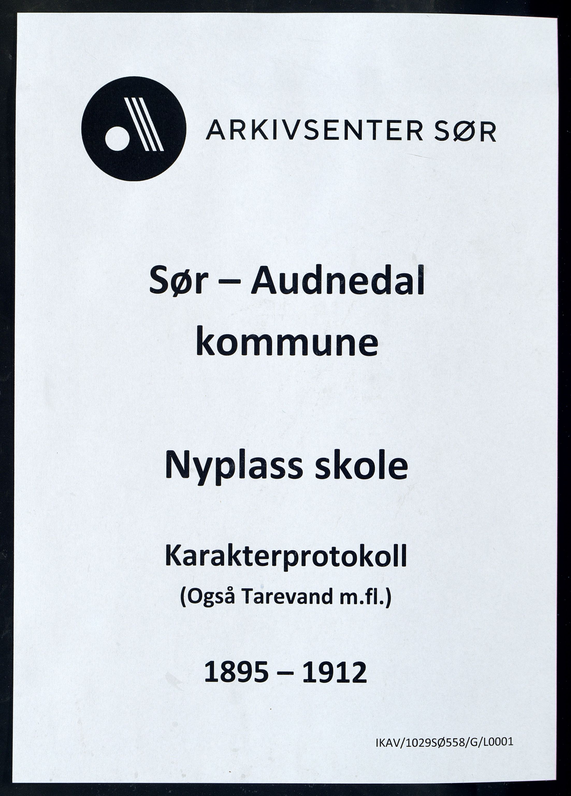 Sør-Audnedal kommune - Nyplass Skole, ARKSOR/1029SØ558/G/L0001: Karakterprotokoll, 1895-1912