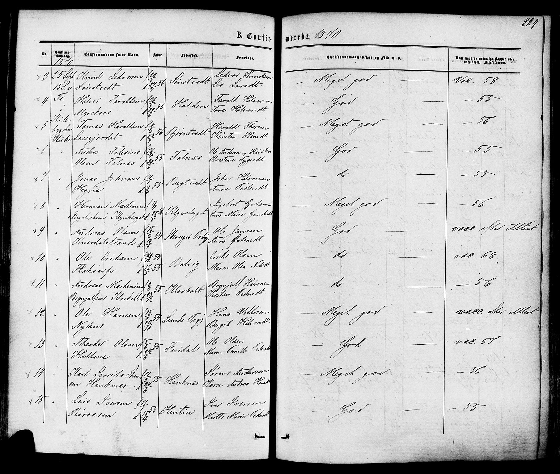 Solum kirkebøker, SAKO/A-306/F/Fa/L0008: Parish register (official) no. I 8, 1865-1876, p. 229