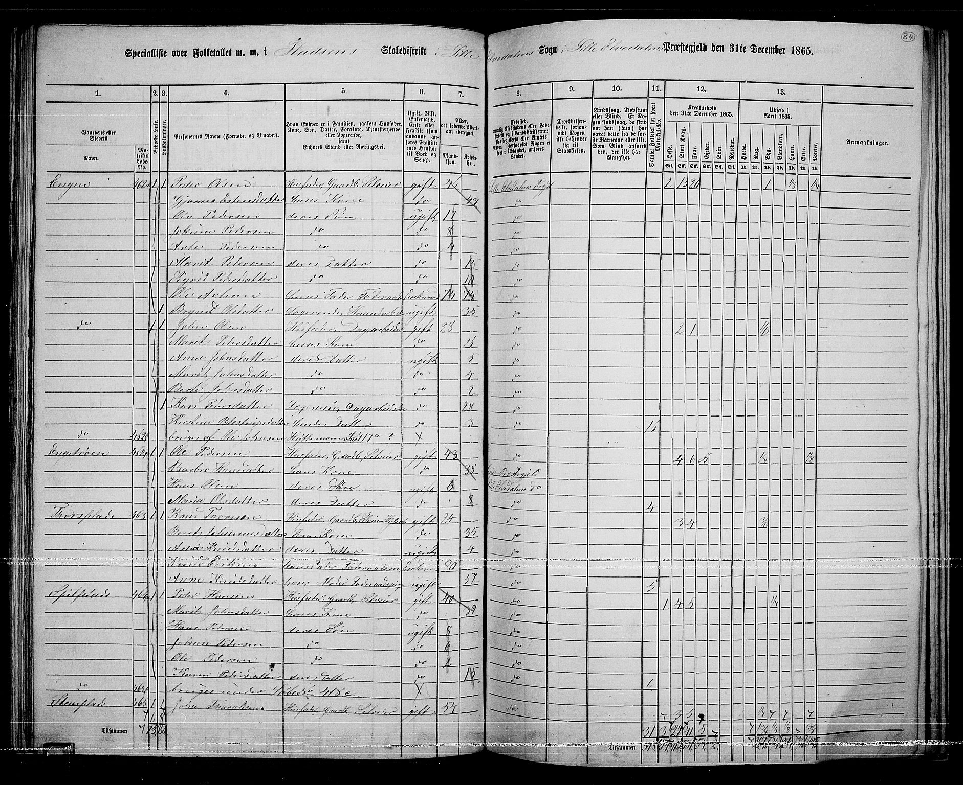 RA, 1865 census for Lille Elvedalen, 1865, p. 76