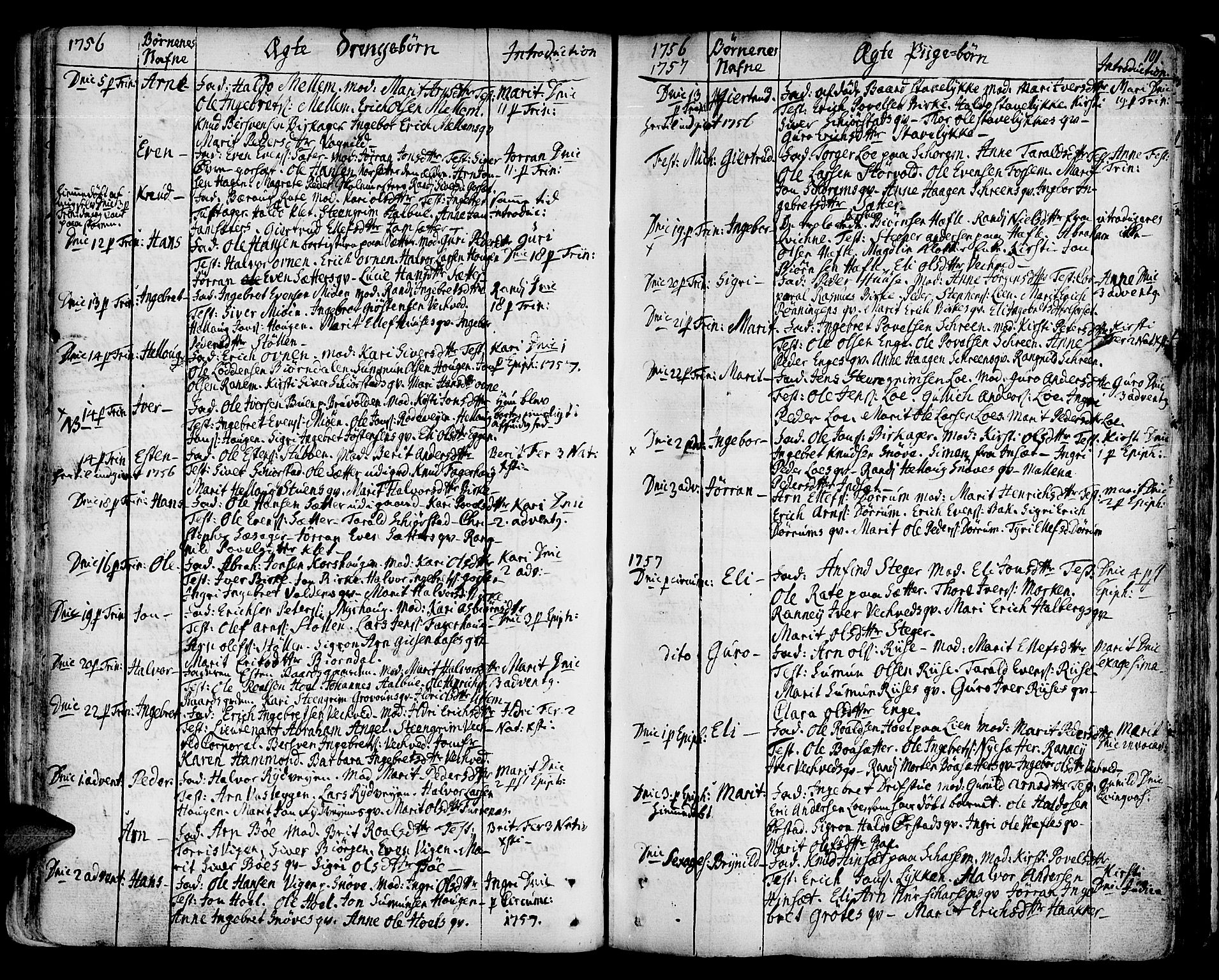 Ministerialprotokoller, klokkerbøker og fødselsregistre - Sør-Trøndelag, SAT/A-1456/678/L0891: Parish register (official) no. 678A01, 1739-1780, p. 101