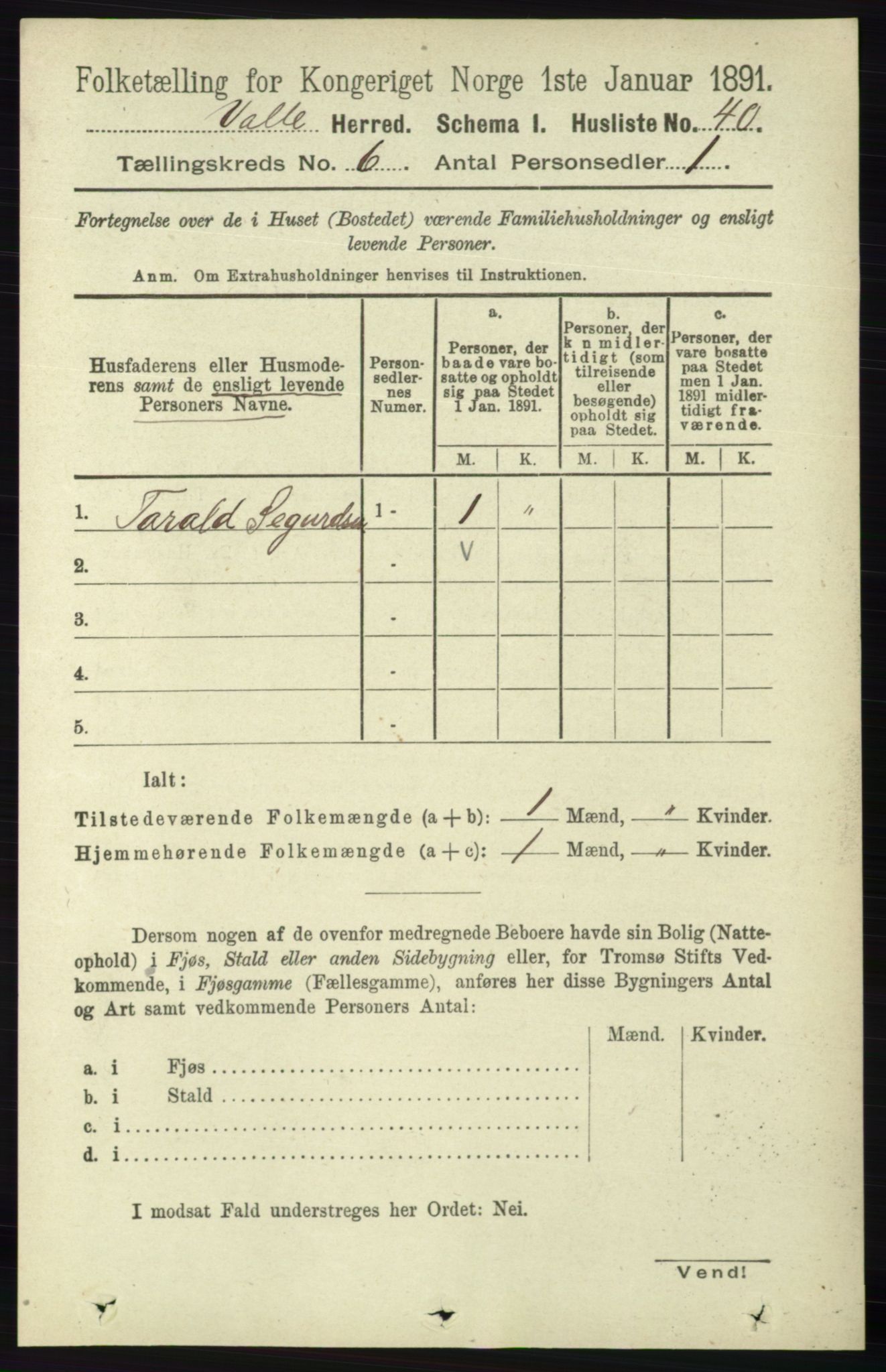 RA, 1891 census for 0940 Valle, 1891, p. 1675