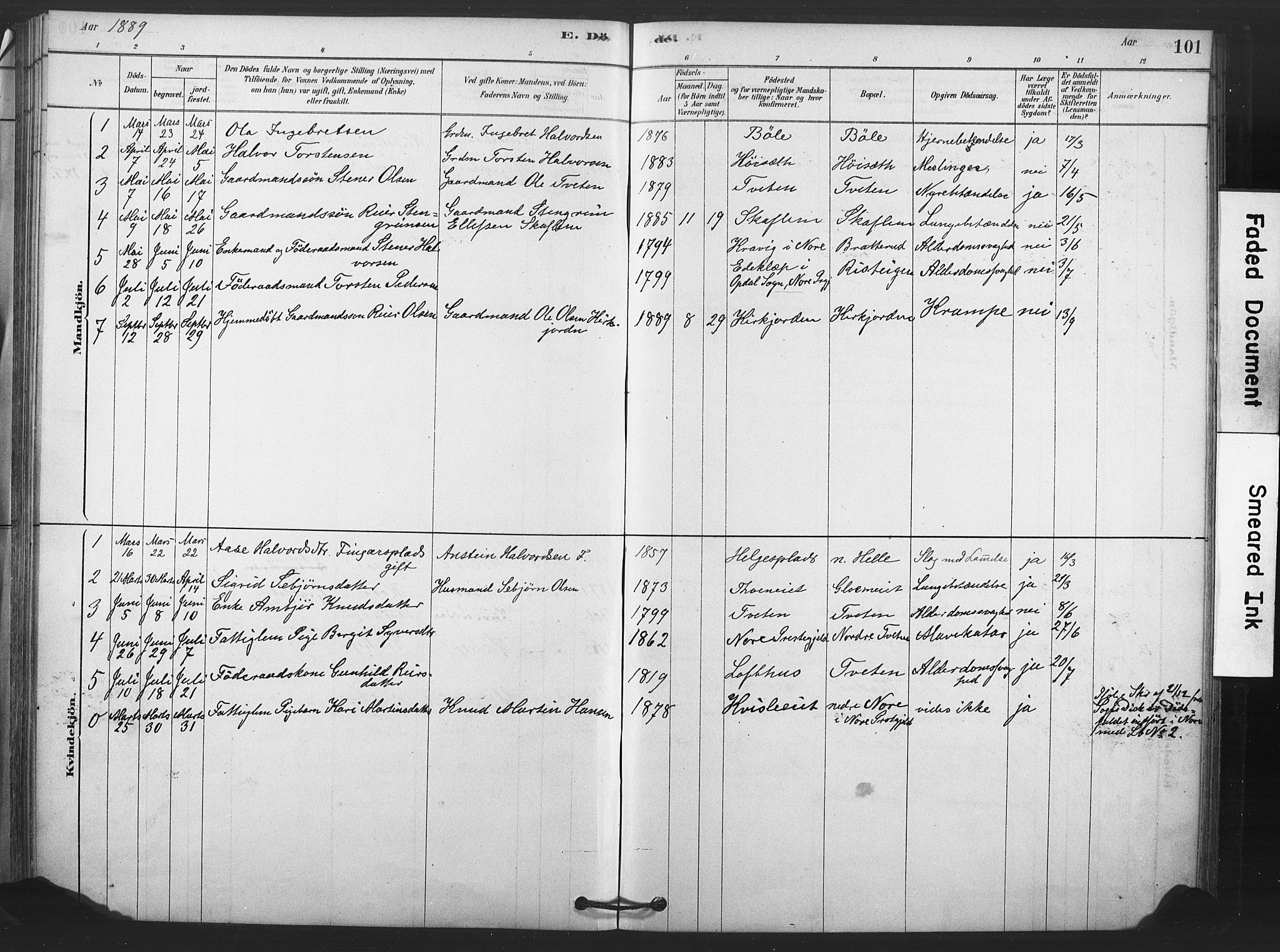 Rollag kirkebøker, AV/SAKO-A-240/F/Fb/L0001: Parish register (official) no. II 1, 1878-1899, p. 101