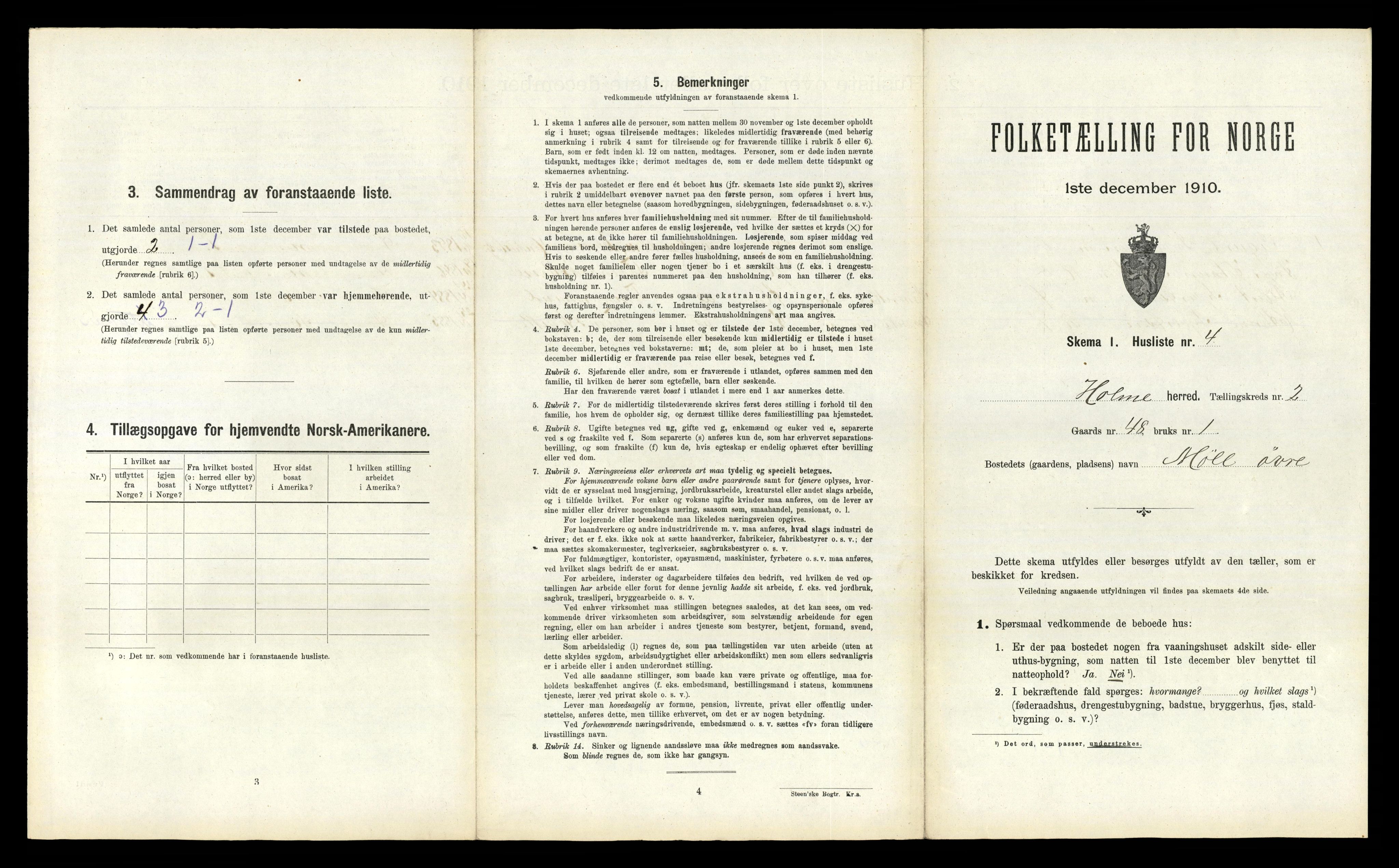 RA, 1910 census for Holum, 1910, p. 196