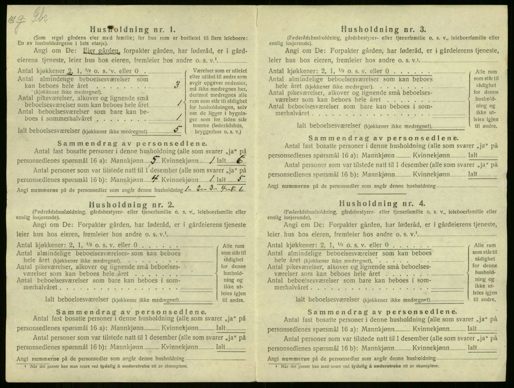 SAKO, 1920 census for Røyken, 1920, p. 43