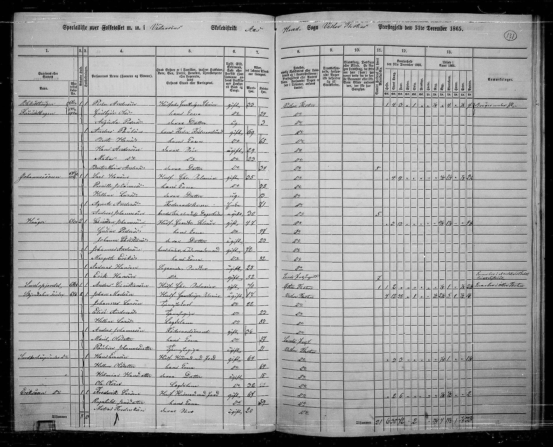 RA, 1865 census for Vestre Toten, 1865, p. 114