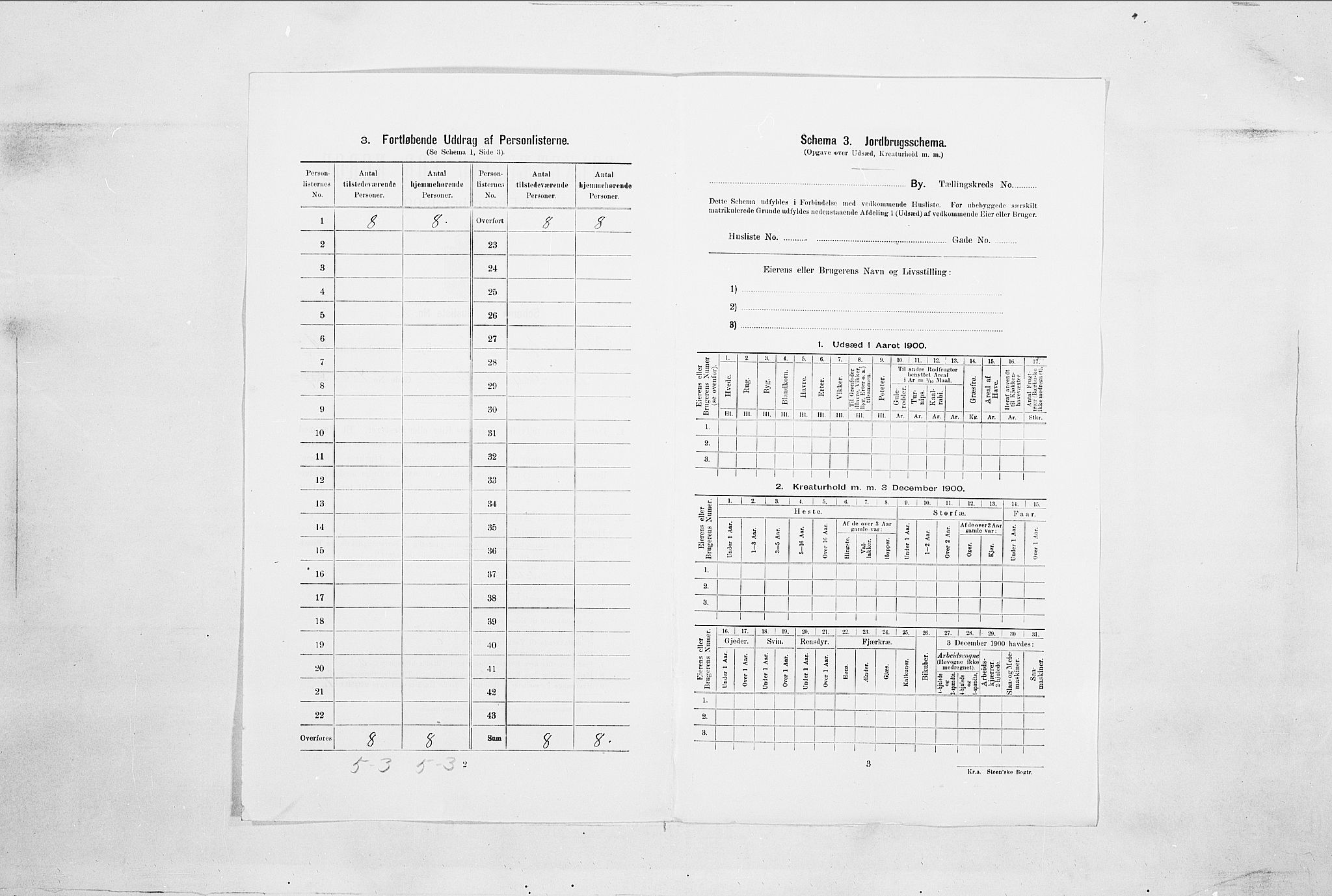 SAO, 1900 census for Fredrikshald, 1900