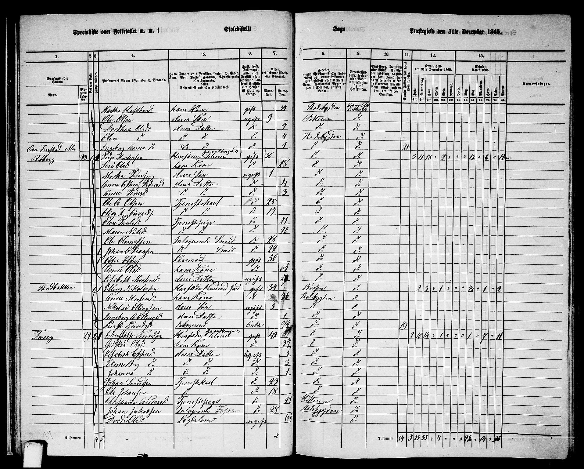 RA, 1865 census for Stadsbygd, 1865, p. 28