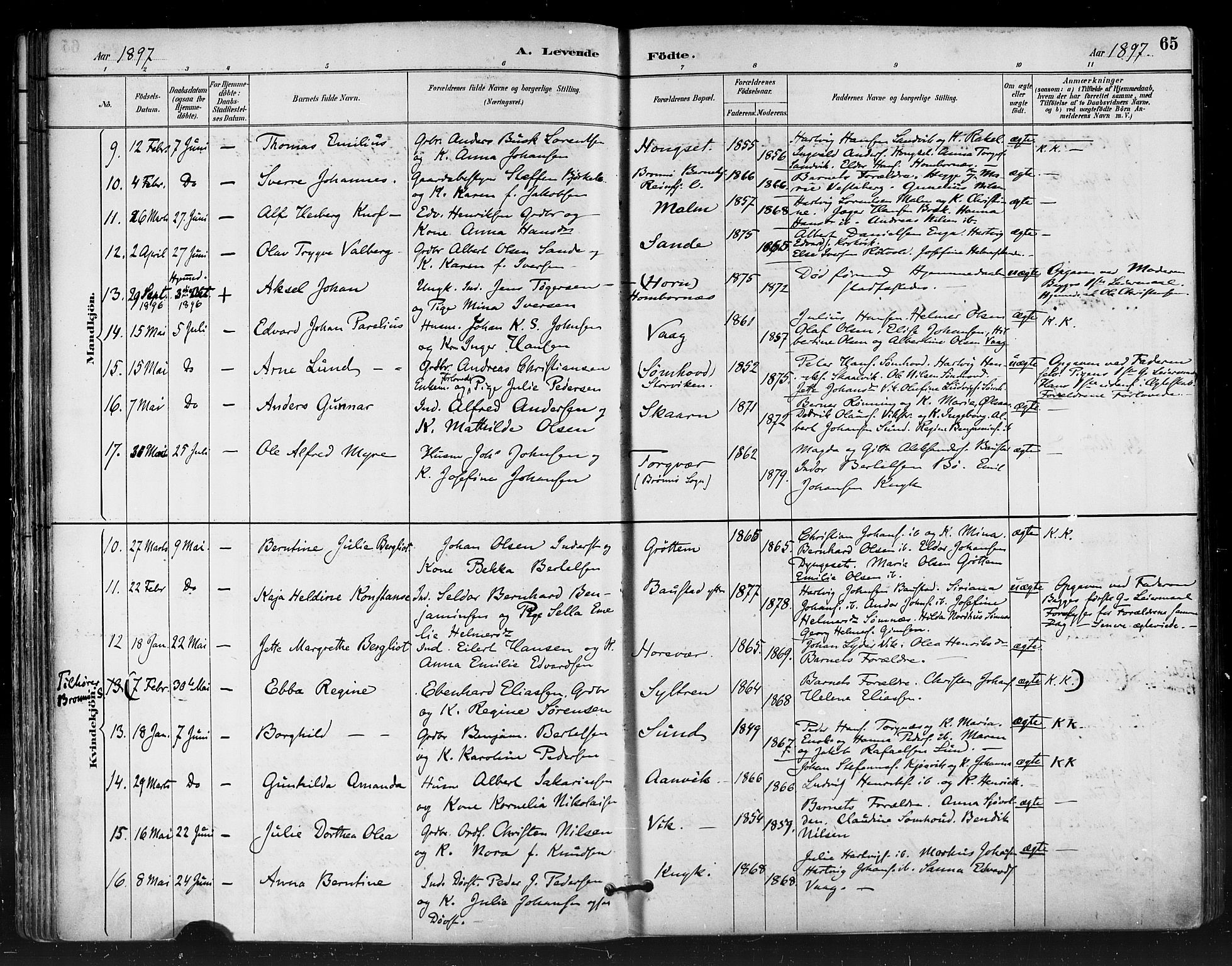 Ministerialprotokoller, klokkerbøker og fødselsregistre - Nordland, AV/SAT-A-1459/812/L0178: Parish register (official) no. 812A07, 1886-1900, p. 65