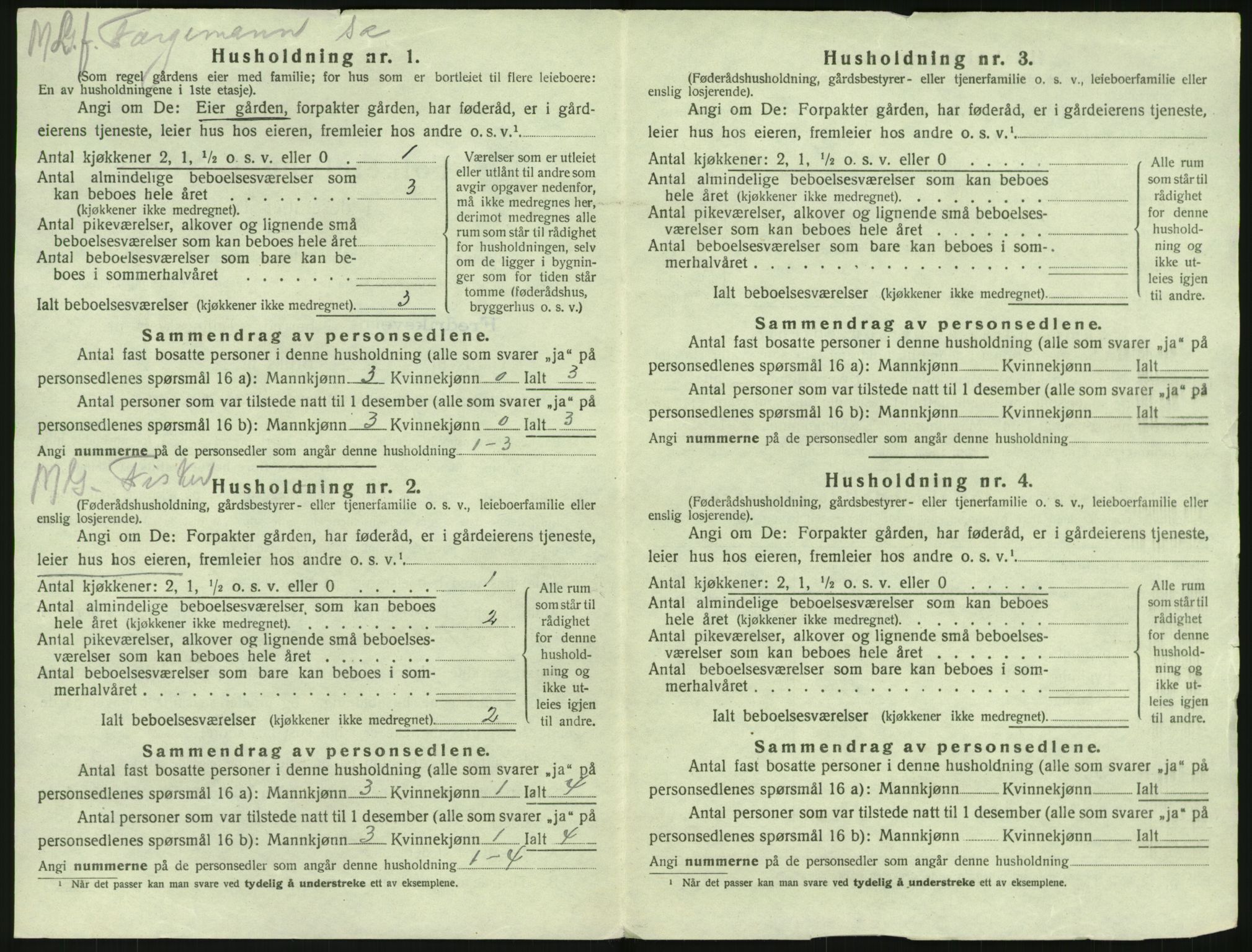 SAKO, 1920 census for Fredriksvern, 1920, p. 376