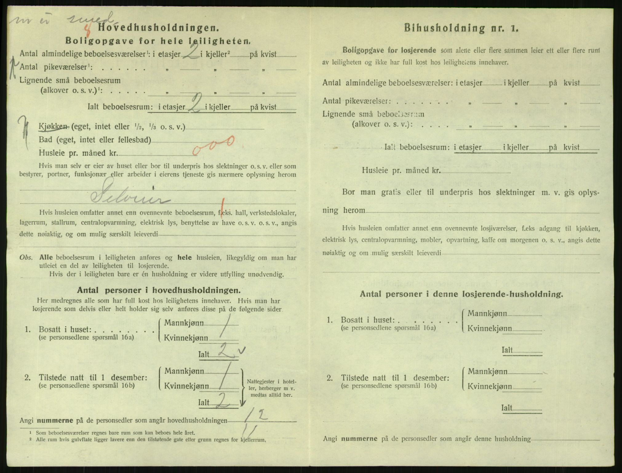 SAKO, 1920 census for Svelvik, 1920, p. 1174