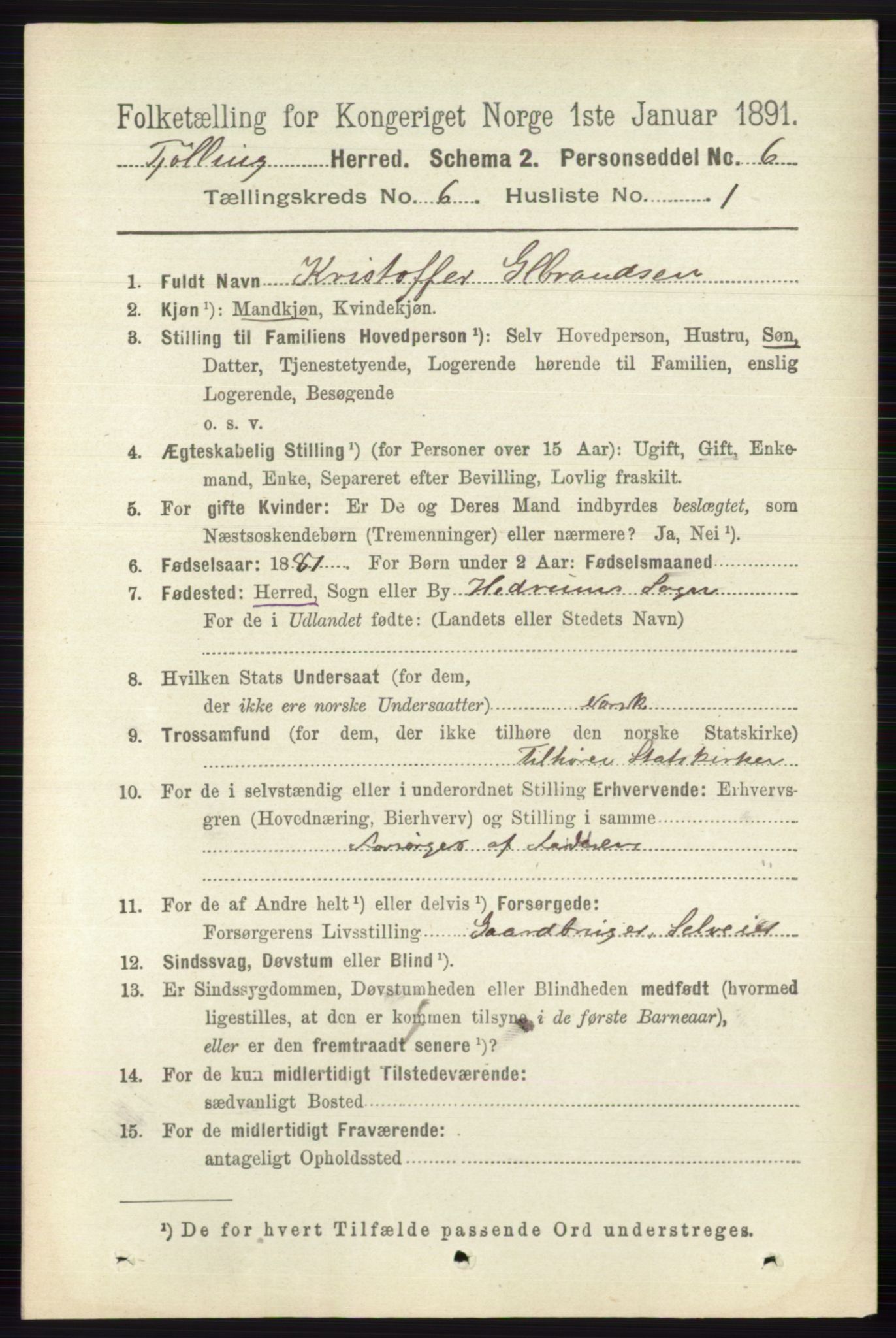 RA, 1891 census for 0725 Tjølling, 1891, p. 2906