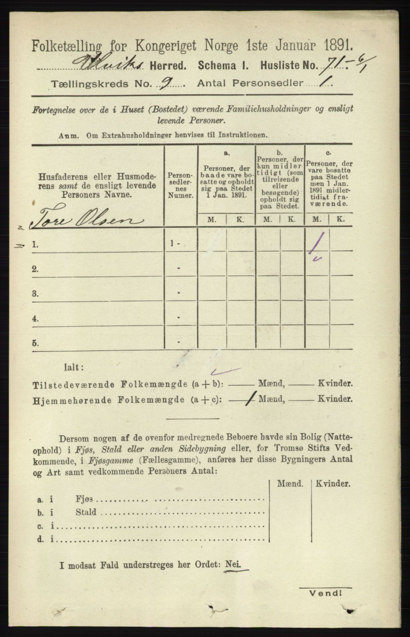 RA, 1891 census for 1233 Ulvik, 1891, p. 2871