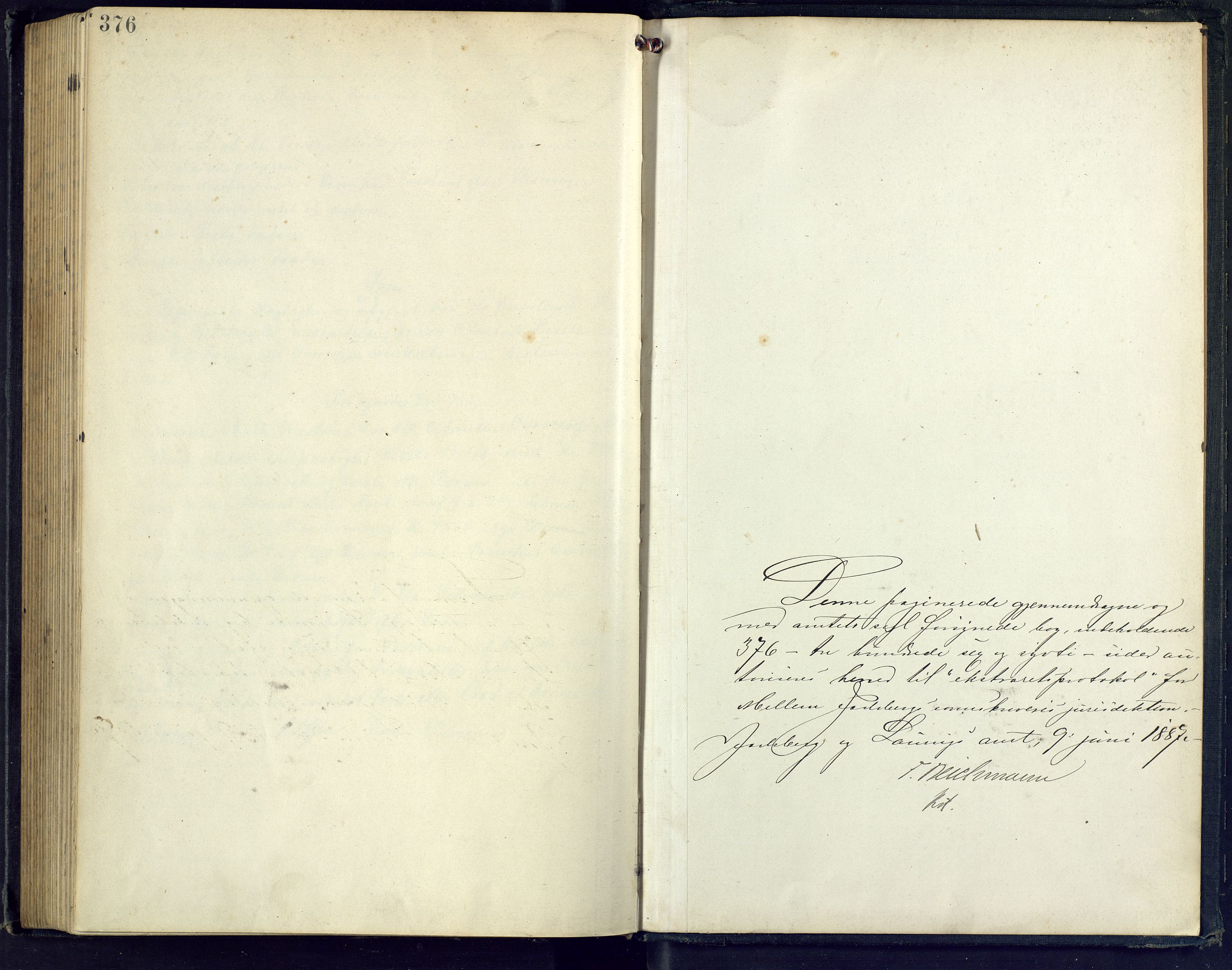 Mellom Jarlsberg sorenskriveri, AV/SAKO-A-132/F/Fb/L0014: Ekstrarettsprotokoll, 1887-1894, p. 376-377