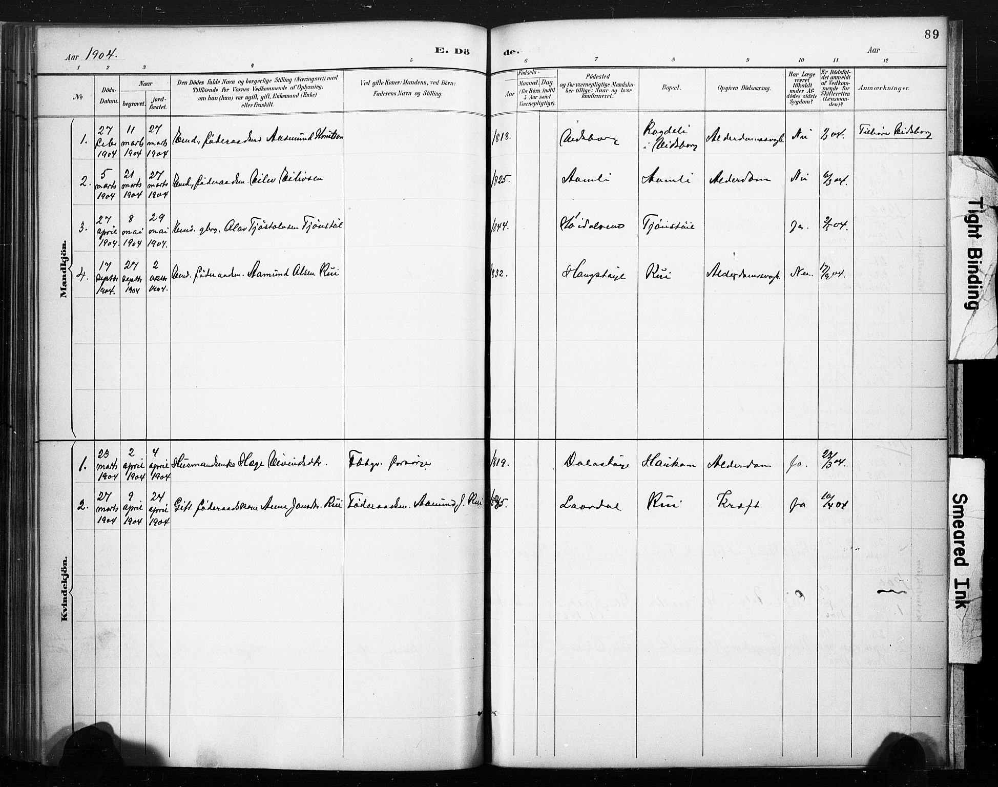 Lårdal kirkebøker, SAKO/A-284/F/Fc/L0002: Parish register (official) no. III 2, 1887-1906, p. 89