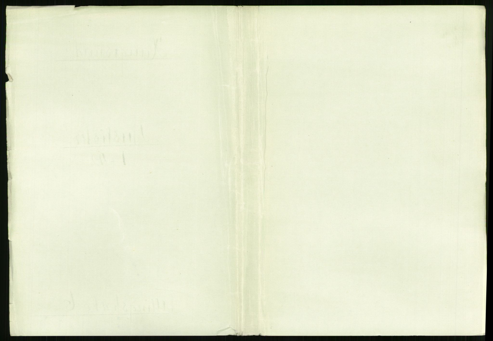 RA, 1891 census for 1106 Haugesund, 1891, p. 384