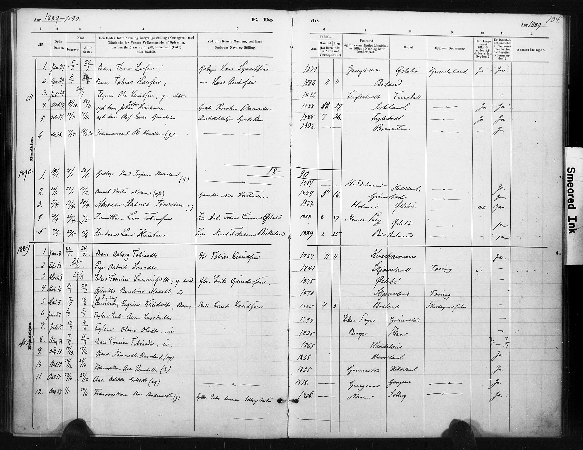 Holum sokneprestkontor, AV/SAK-1111-0022/F/Fa/Fac/L0004: Parish register (official) no. A 4, 1884-1907, p. 134