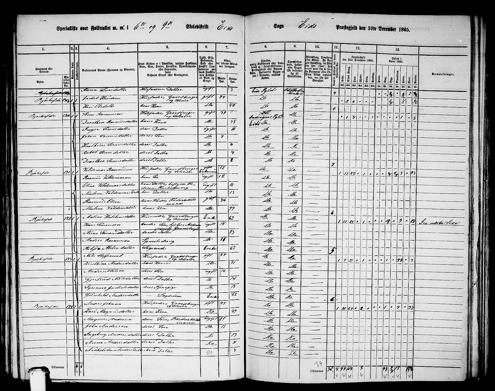 RA, 1865 census for Eid, 1865, p. 134