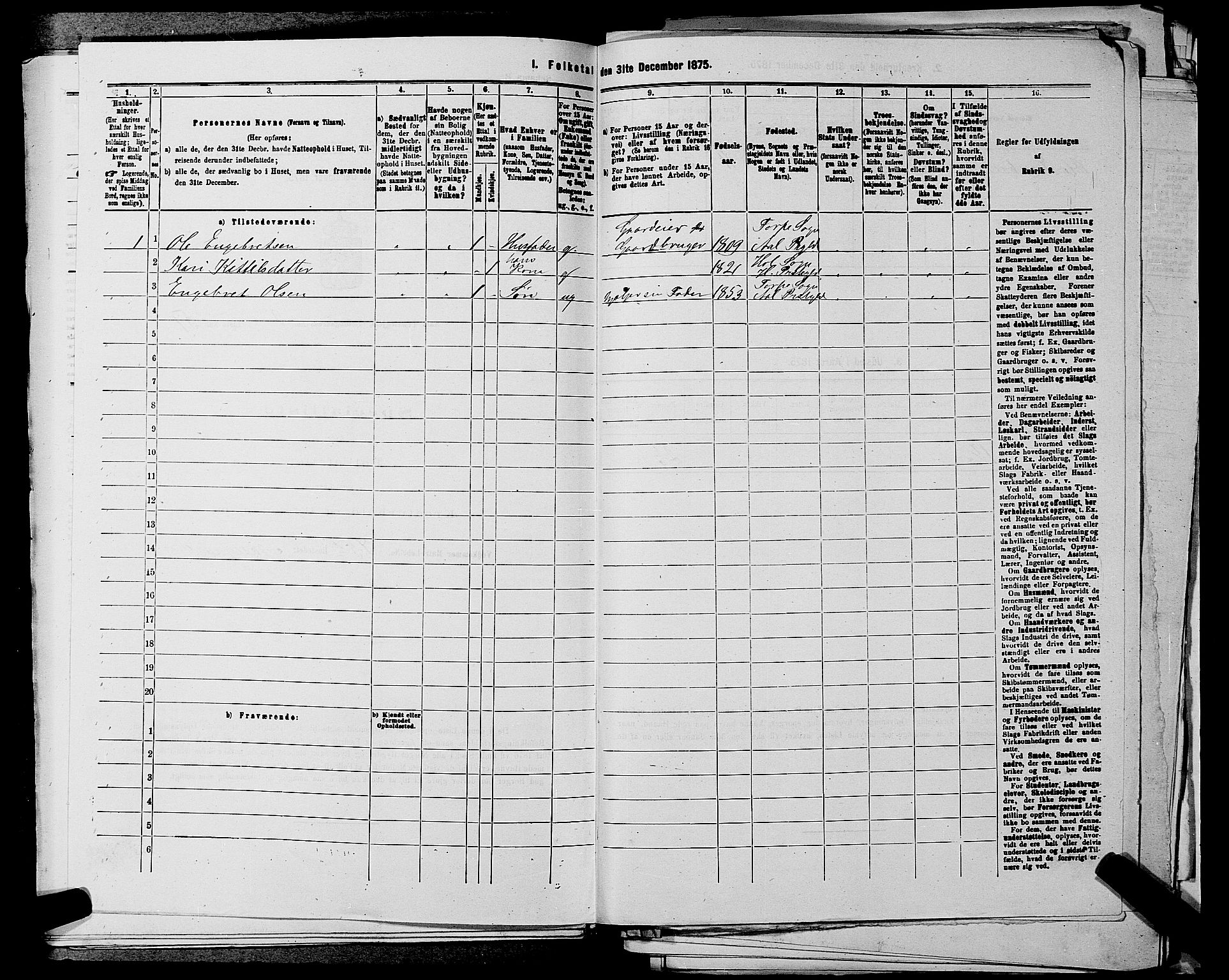 SAKO, 1875 census for 0619P Ål, 1875, p. 311