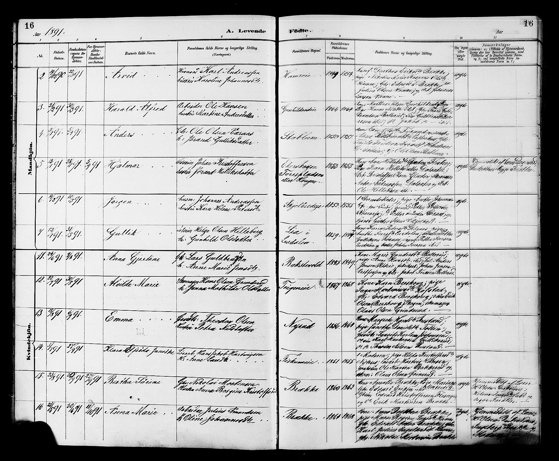 Fiskum kirkebøker, AV/SAKO-A-15/G/Ga/L0005: Parish register (copy) no. 5, 1887-1912, p. 16