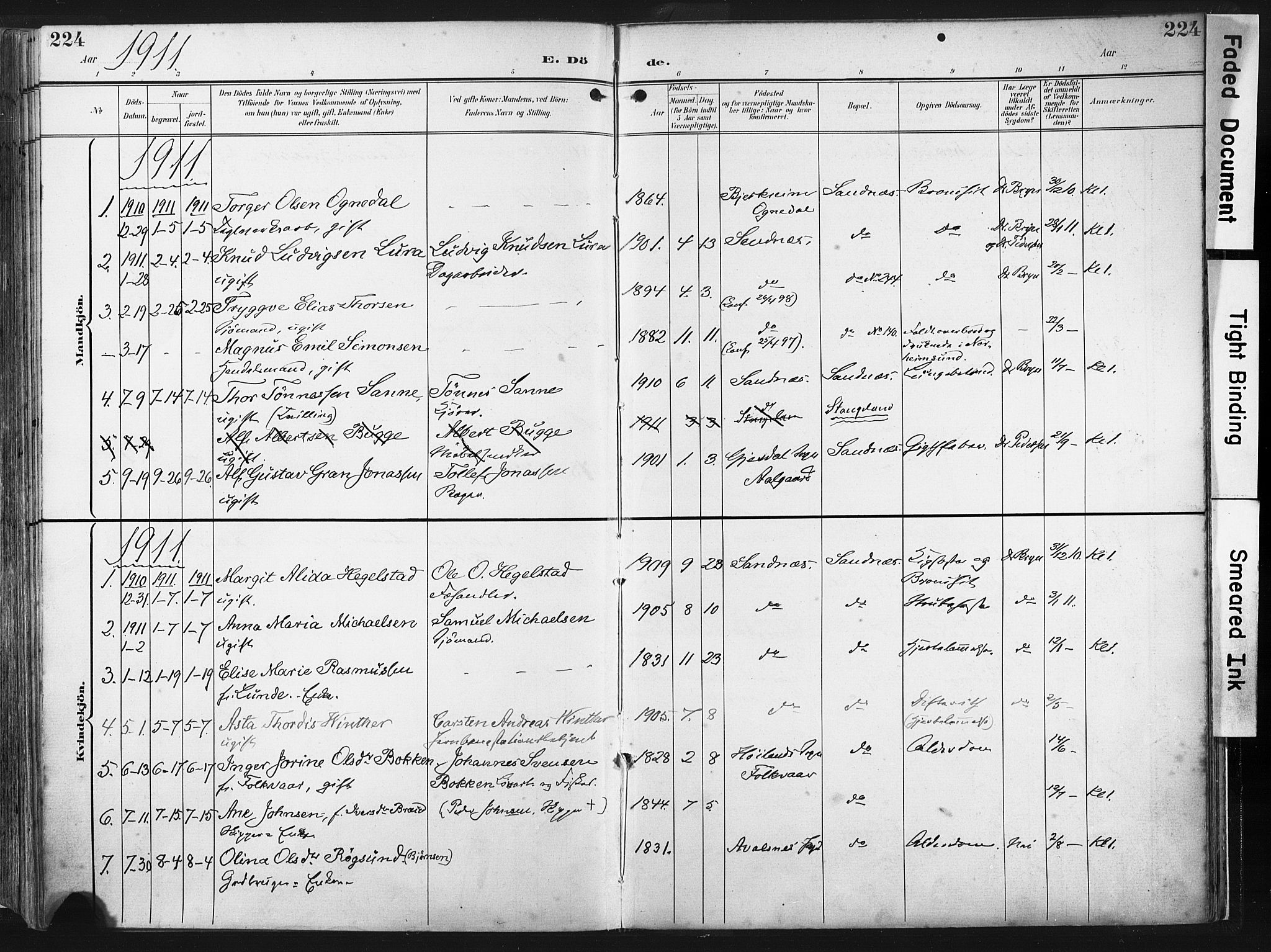 Høyland sokneprestkontor, SAST/A-101799/001/30BA/L0016: Parish register (official) no. A 16, 1899-1911, p. 224