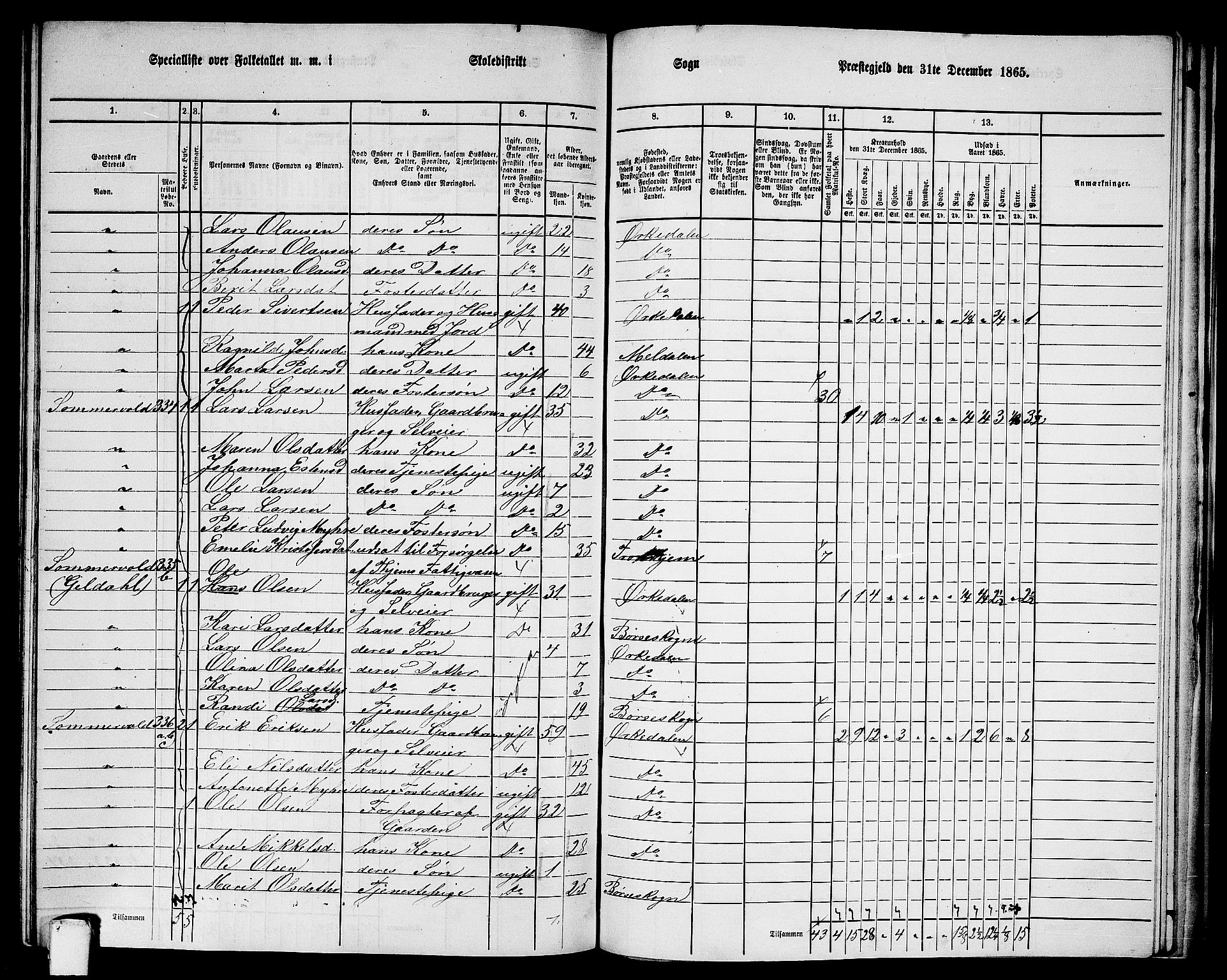 RA, 1865 census for Orkdal, 1865, p. 243