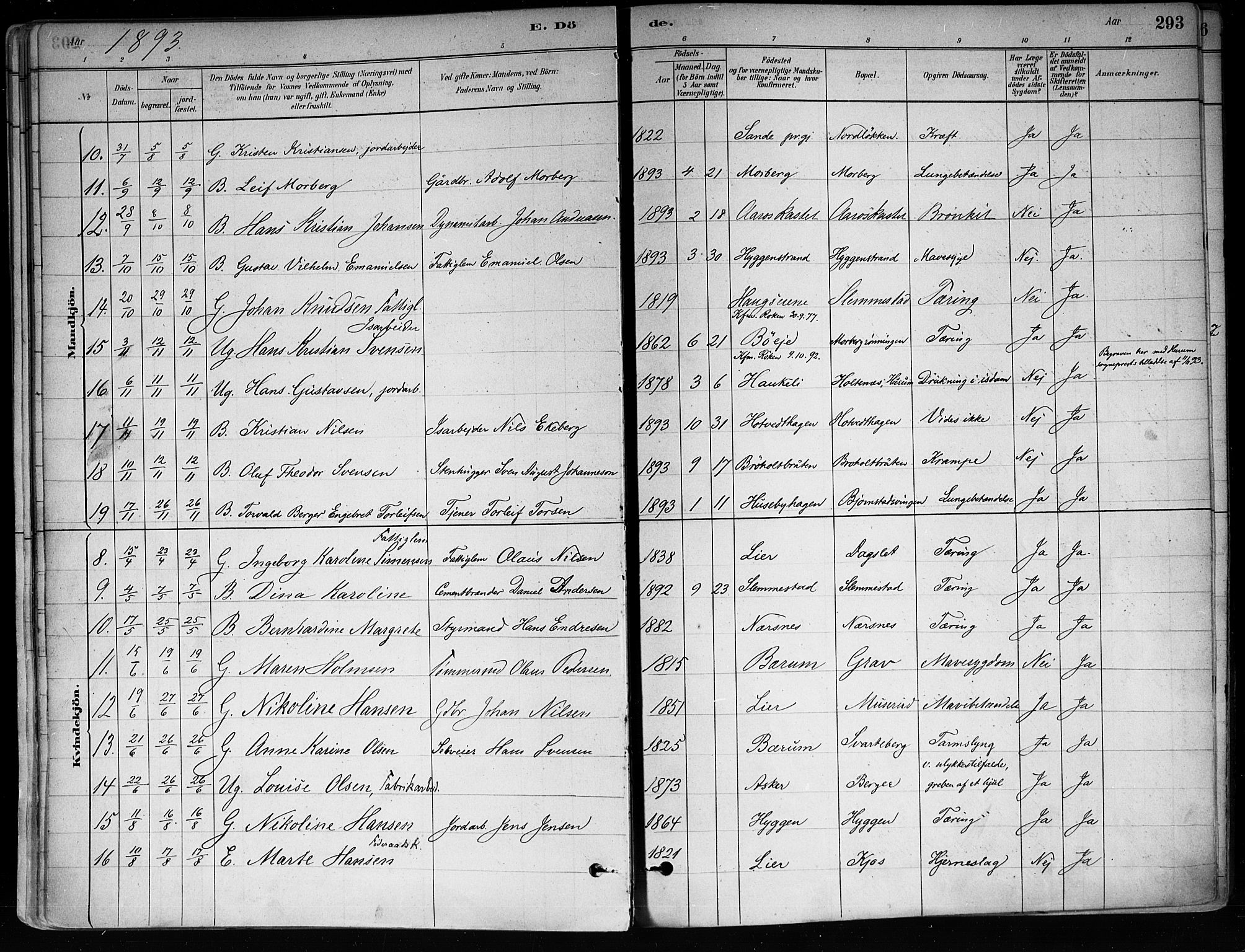 Røyken kirkebøker, SAKO/A-241/F/Fa/L0008: Parish register (official) no. 8, 1880-1897, p. 293