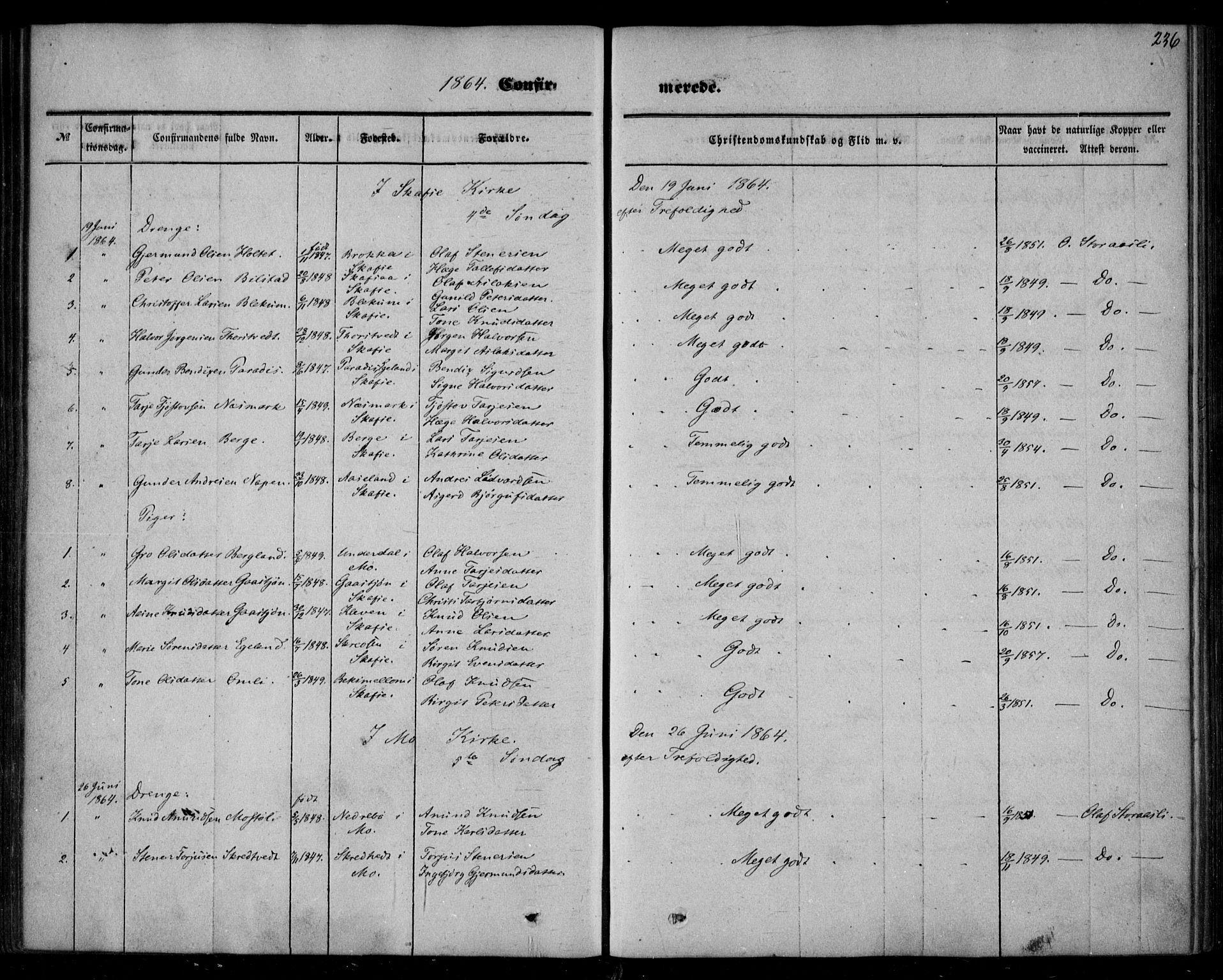 Mo kirkebøker, SAKO/A-286/F/Fa/L0005: Parish register (official) no. I 5, 1844-1864, p. 236